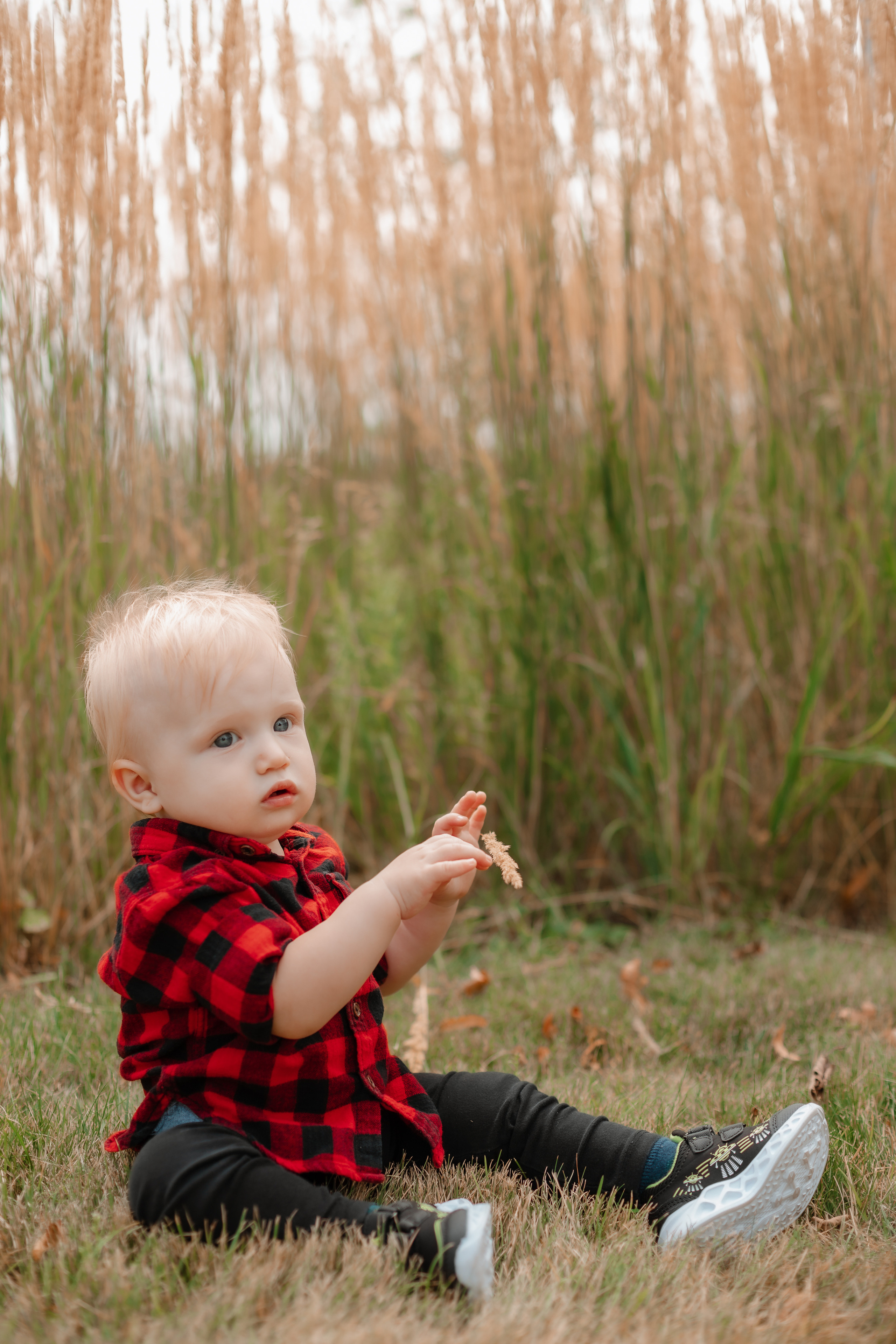 Владимир и Ольга. Фотограф москва