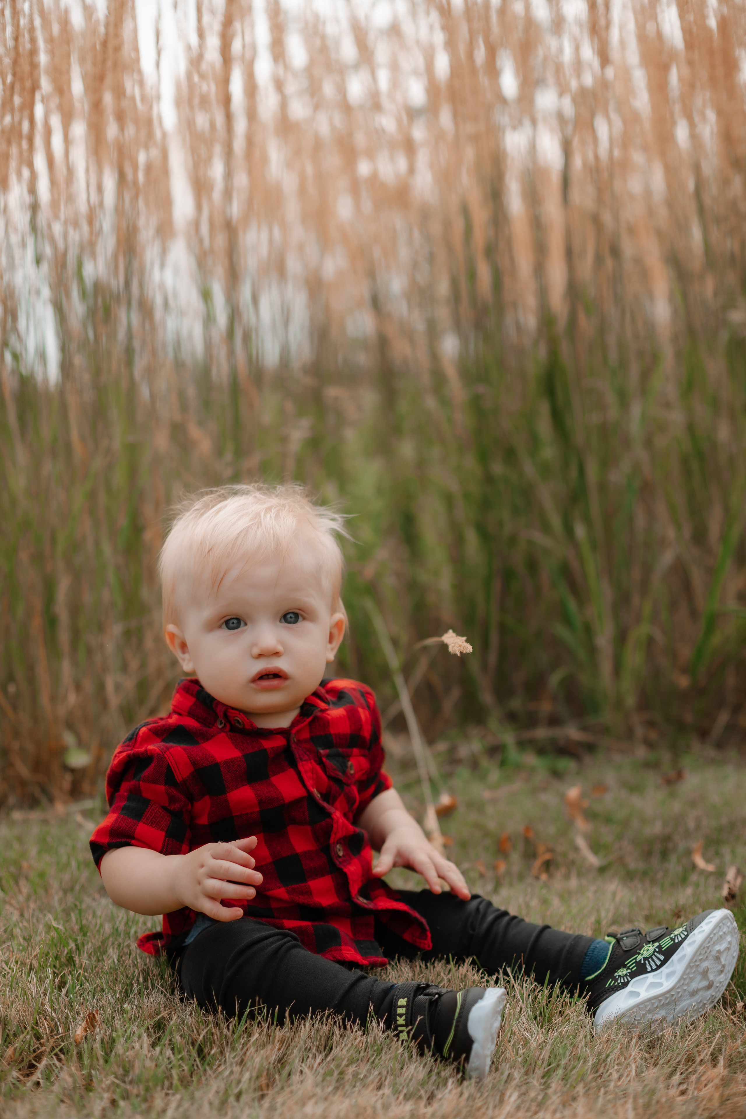 Владимир и Ольга. Фотограф москва