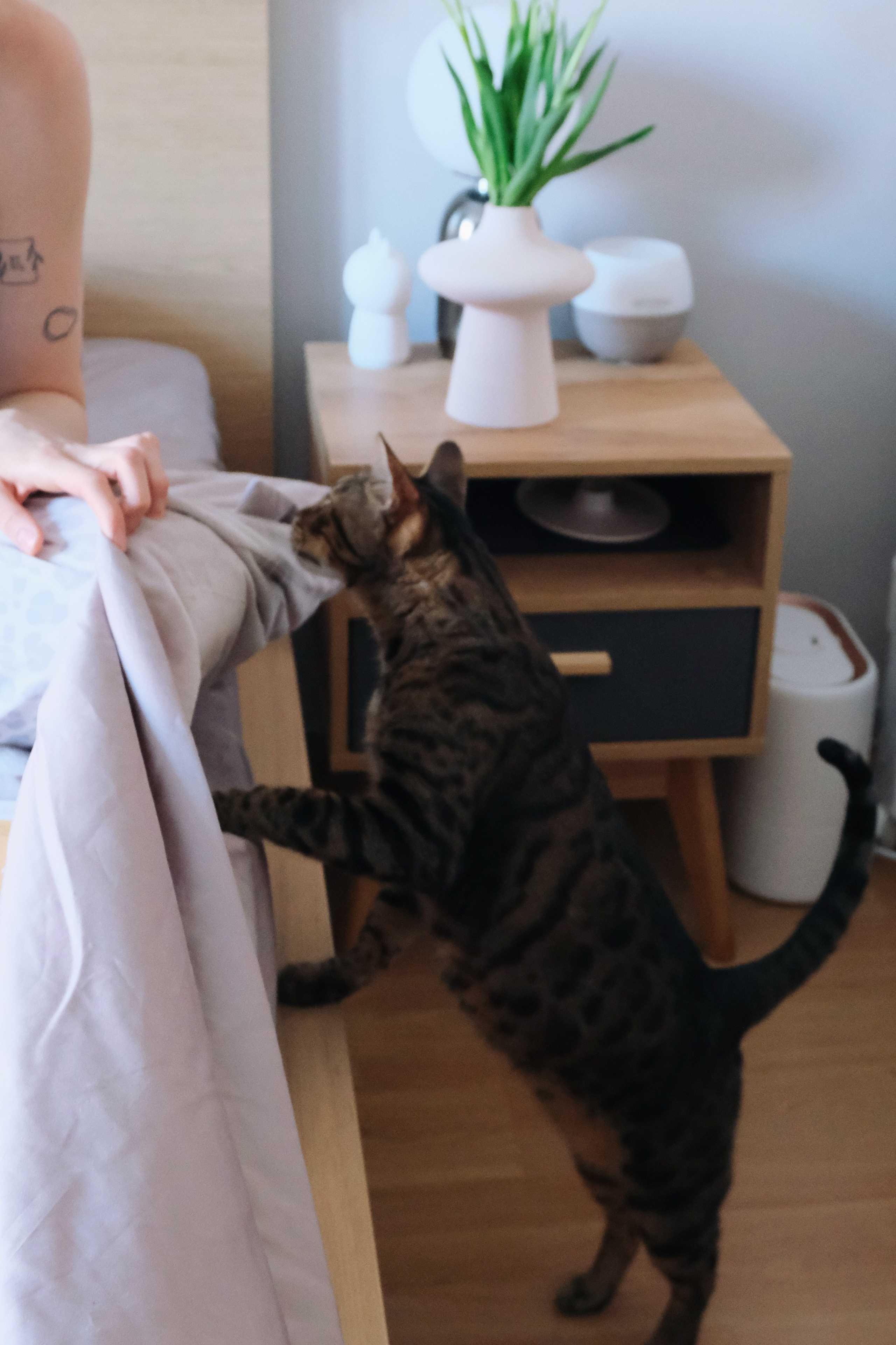 Дома. Татьян гертье