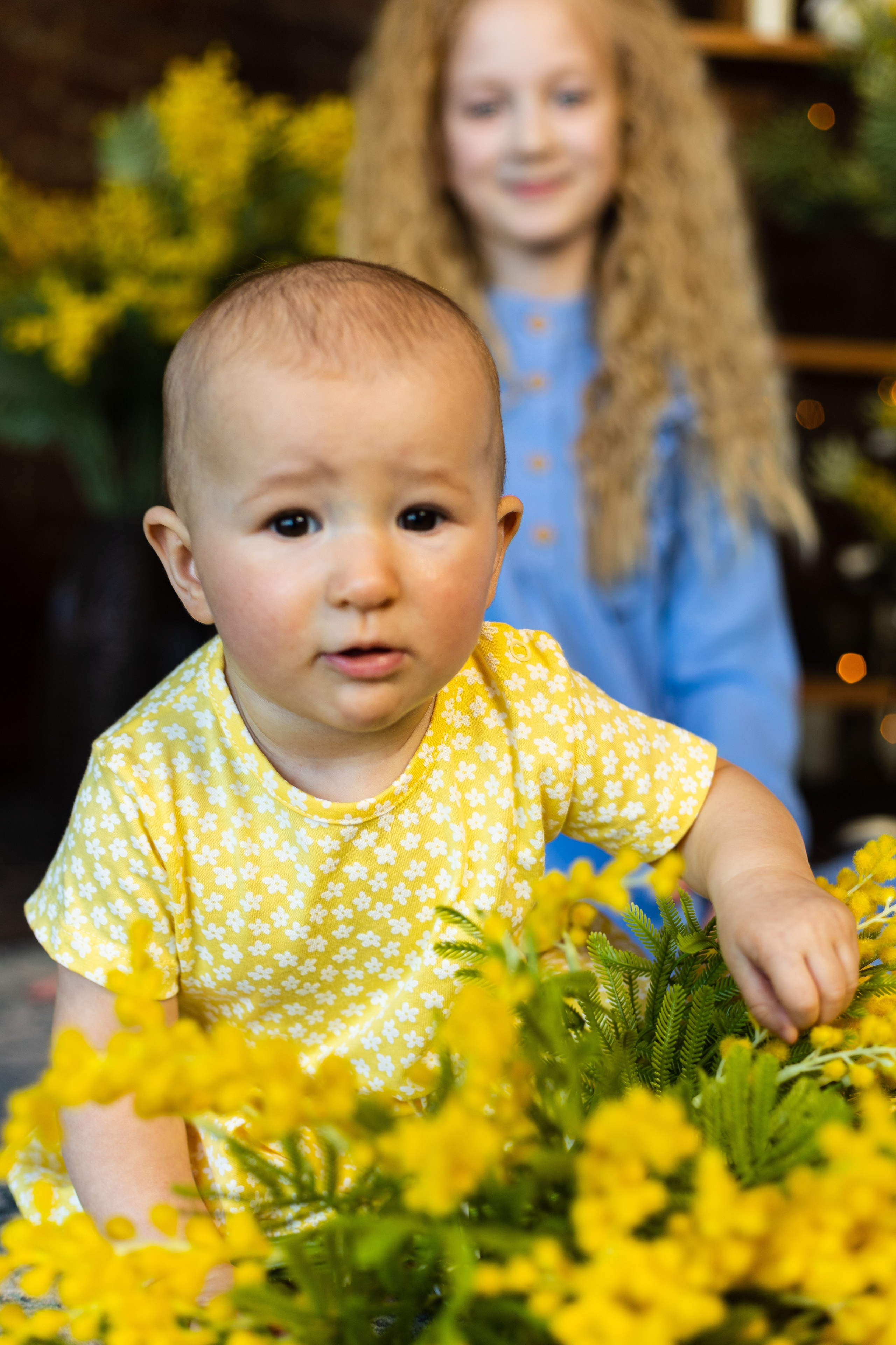 Алиса с сестренкой. Детская фотосессия в студии с мимозой. Семейный и детский фотограф в Санкт-Петербурге Павлова Елена