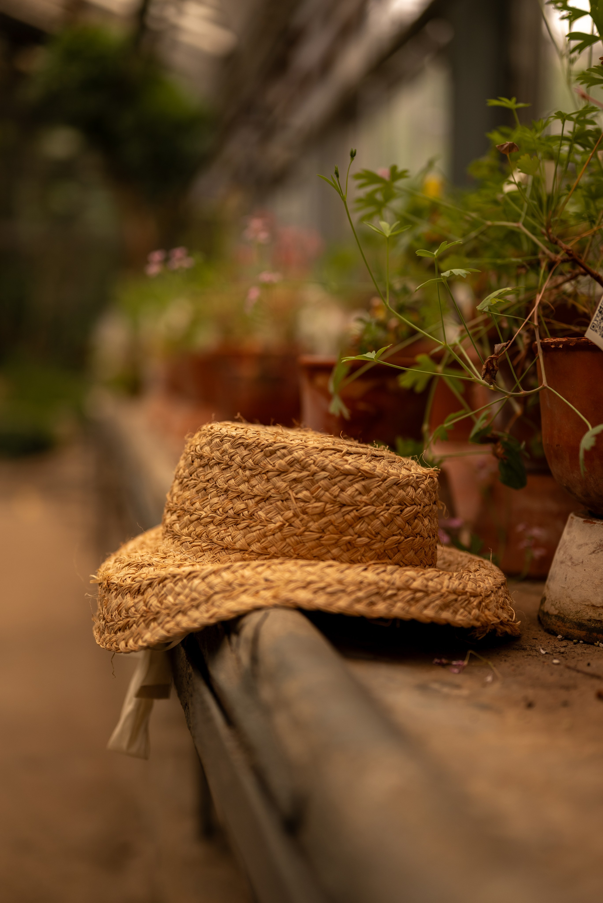 Маргарита и Кира. Ботанический сад. Семейный фотограф в Москве Дарья Пузикова