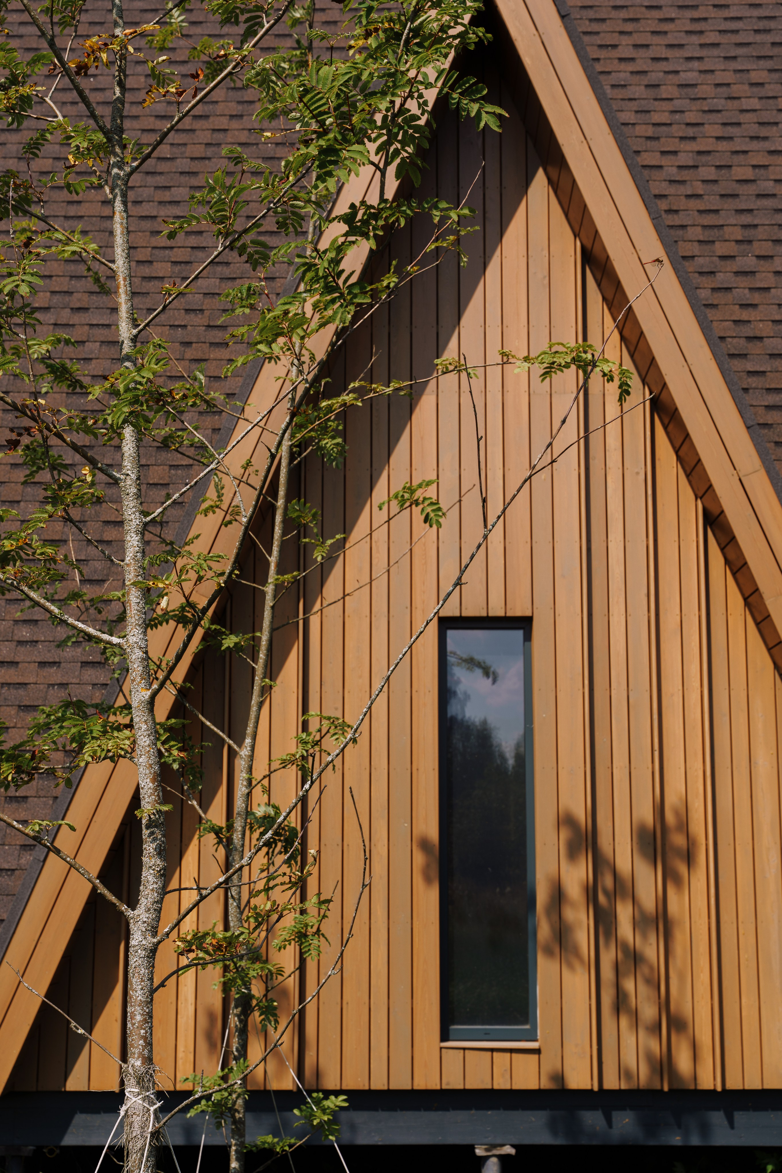 Глемпинг Трофимов берег Москва