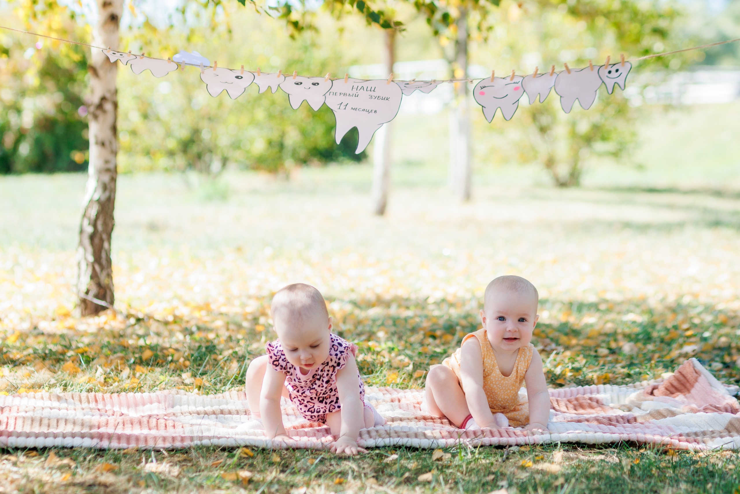 Первый зубик. Свадебный и семейный фотограф в Армавире