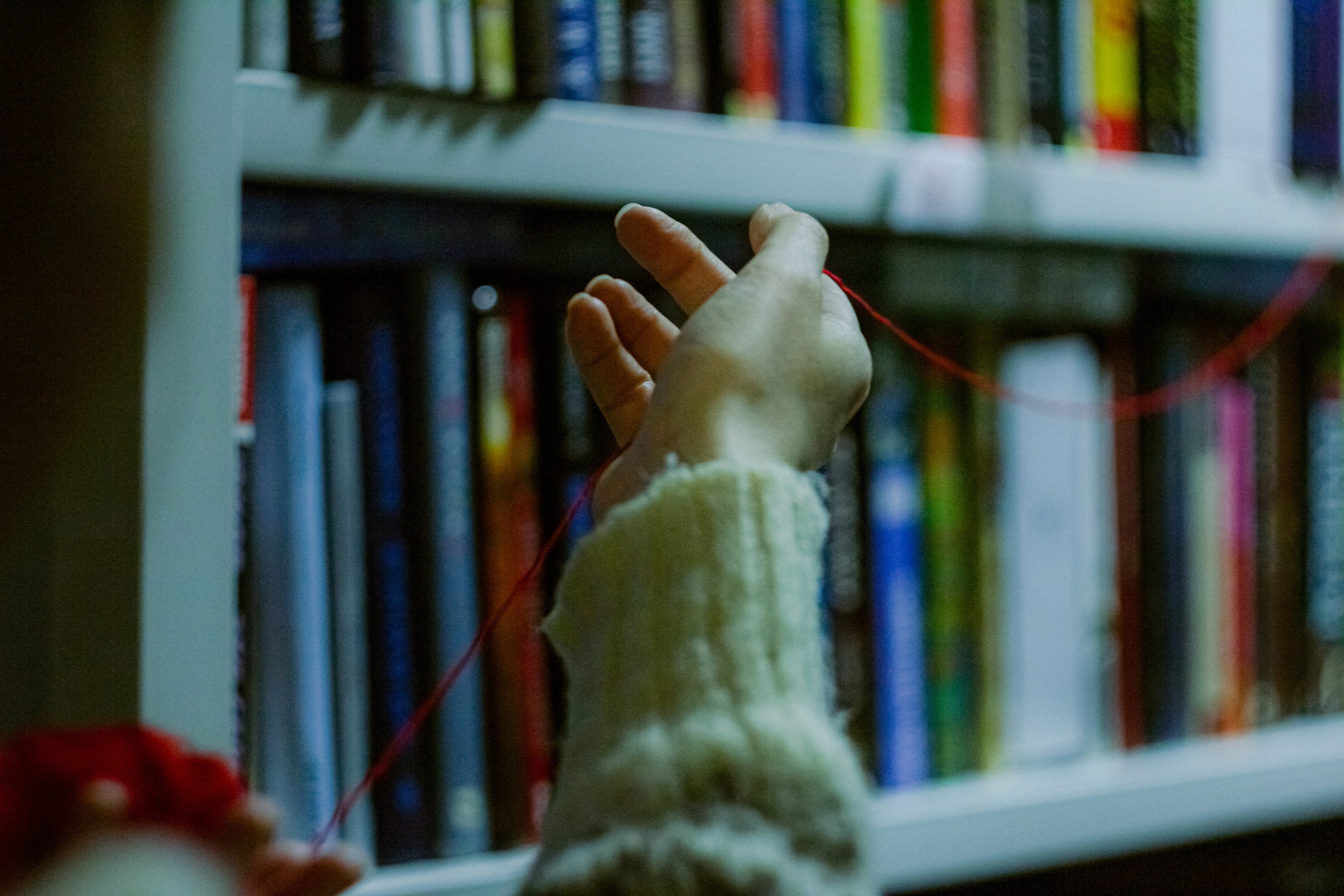 Librarians sixth sense. Фотограф Ася Волчик