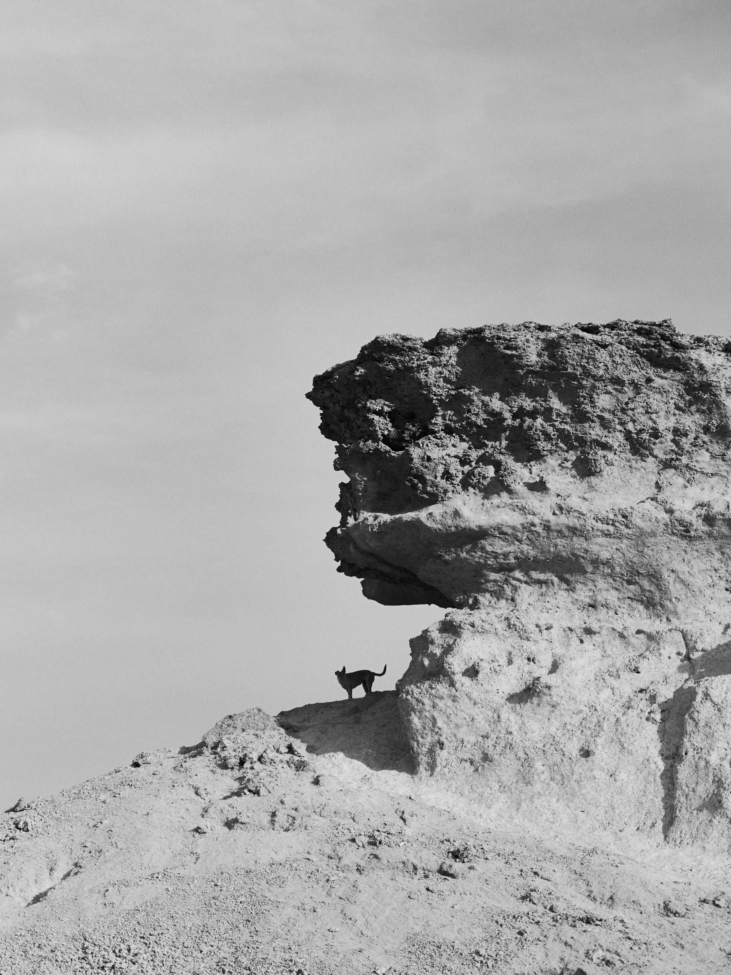 B&W. Jorgis — фотограф в Хургаде / обучение фотографии