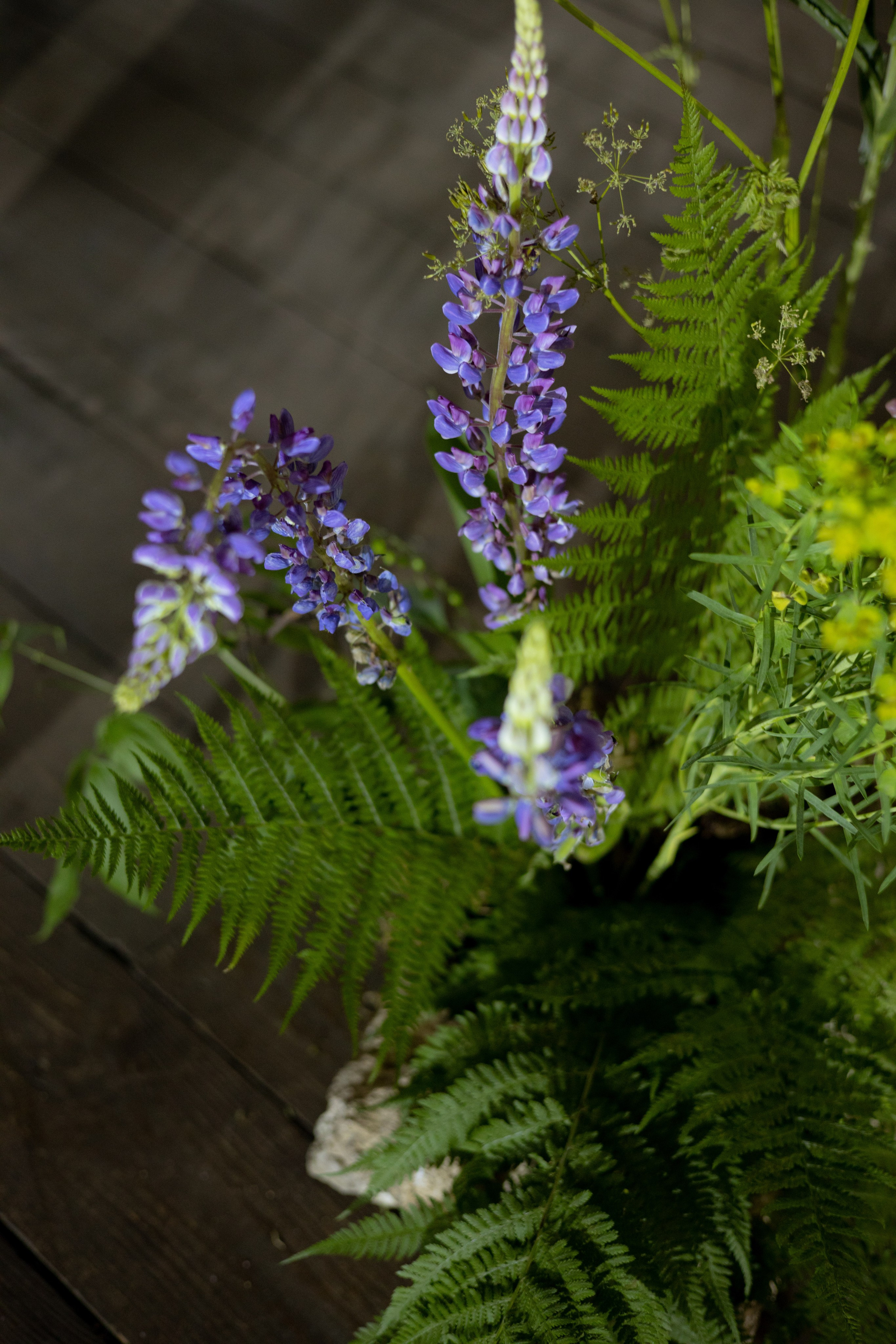 Павел & Полина. Оформление свадеб, декор свадеб Вера Маркова, Москва