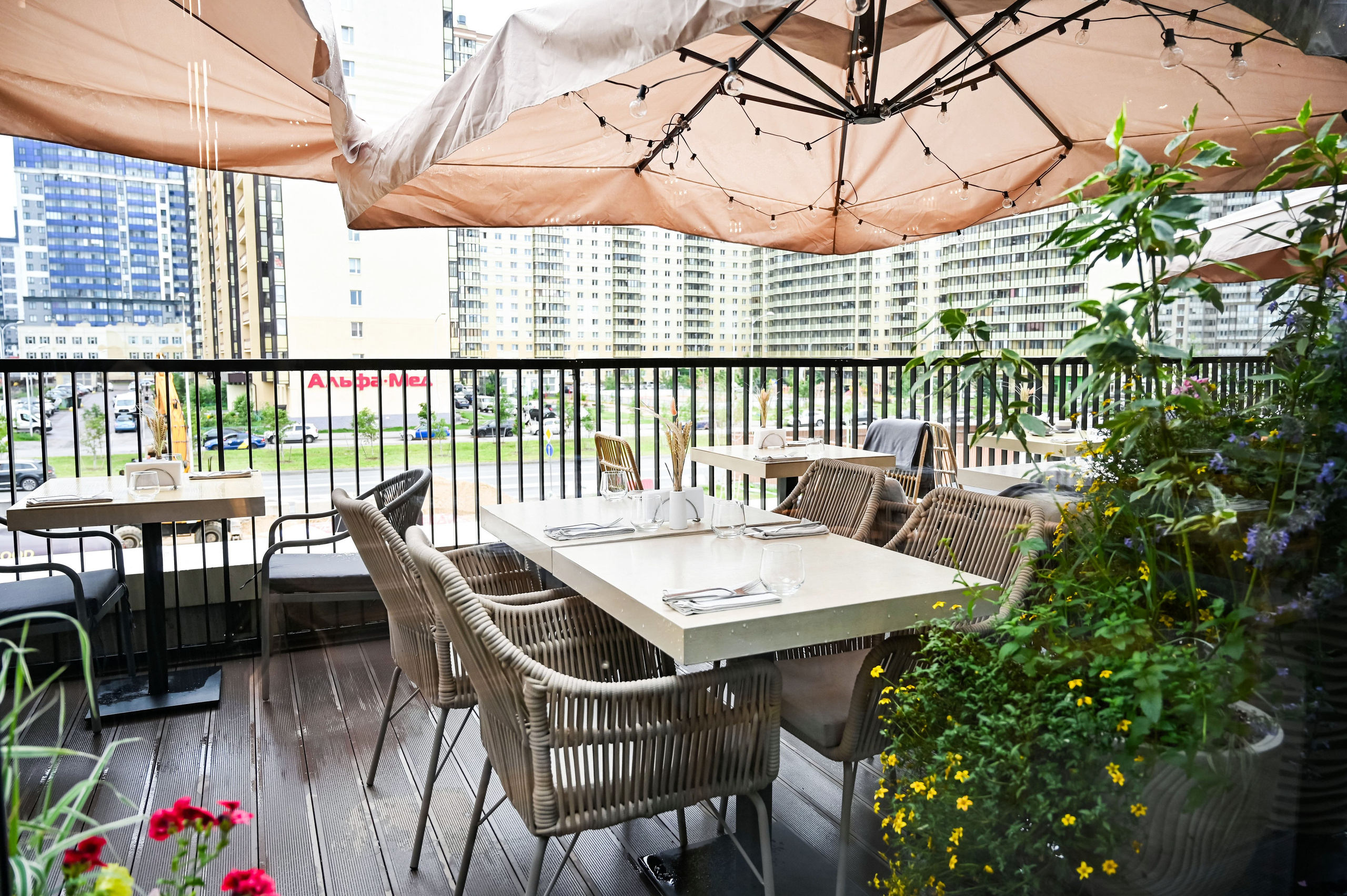 . ZDARONOKIA Репортажный фотограф