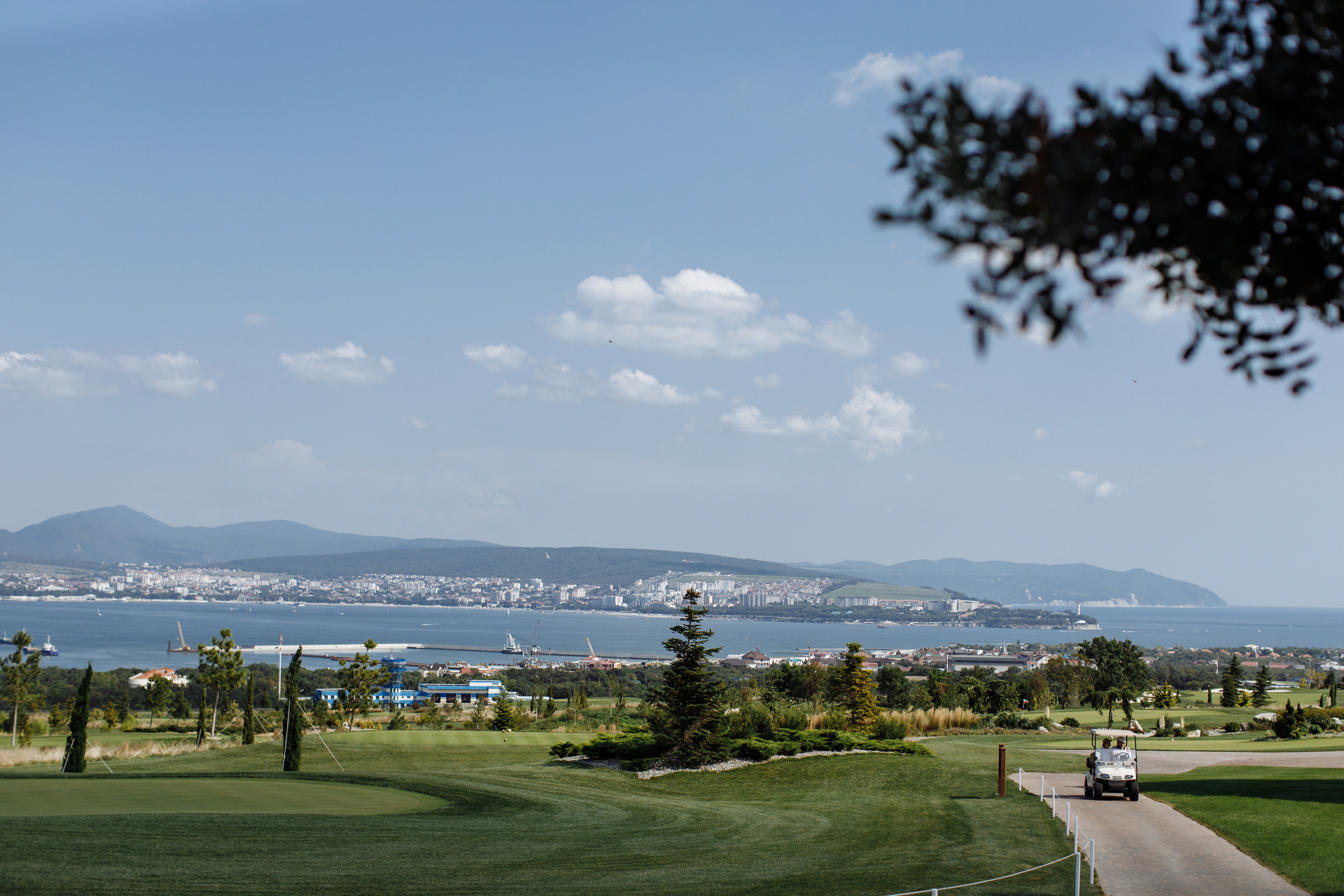 Скрестить клюшки. Никита Погосов