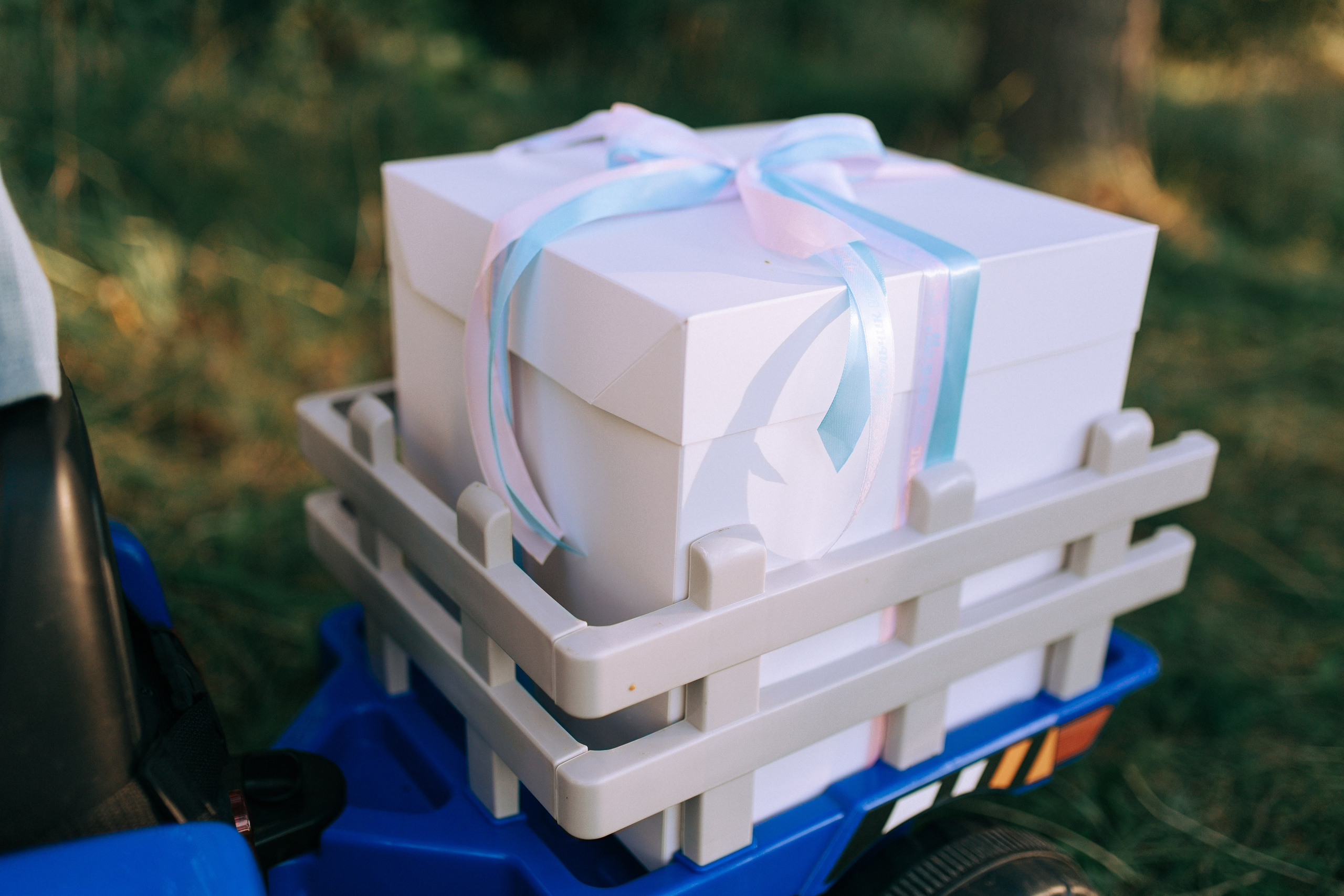 Дима и Юля. Свадебный и семейный фотограф в Туле и области Маша Костина