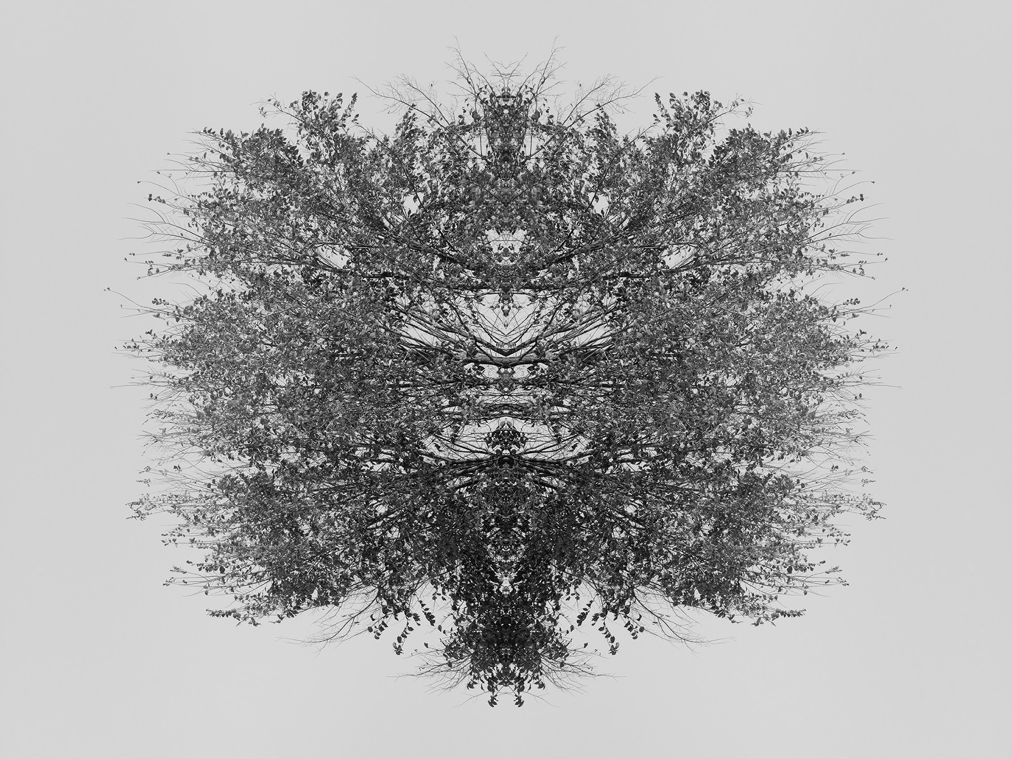 Острова. Анна Порошина — междисциплинарный художник