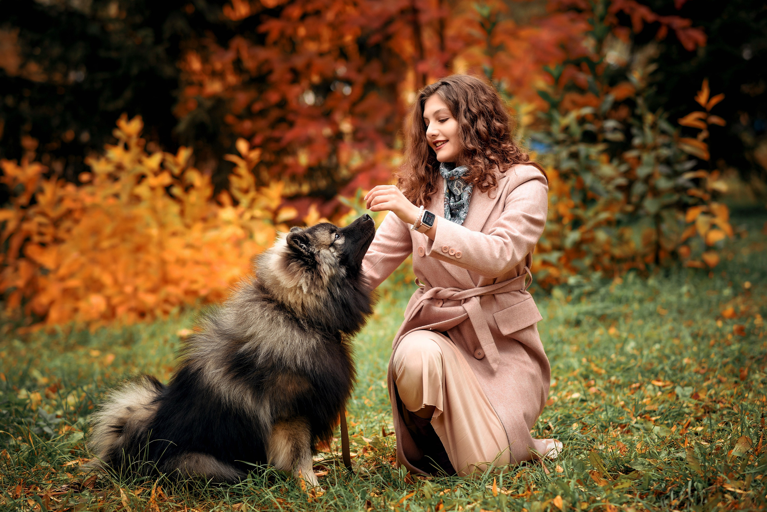 Осенняя прогулочная. Свадебный, семейный, детский, контент фотограф в Омске Максим Ильин