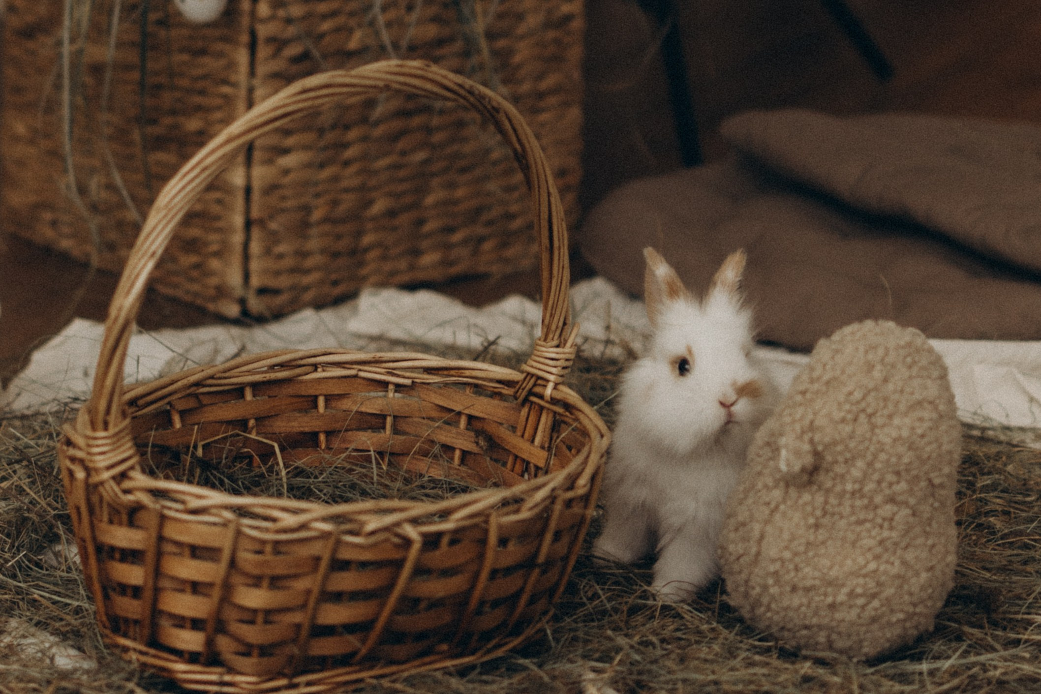 Пасхальная история. Фотограф в Иваново и Суздале