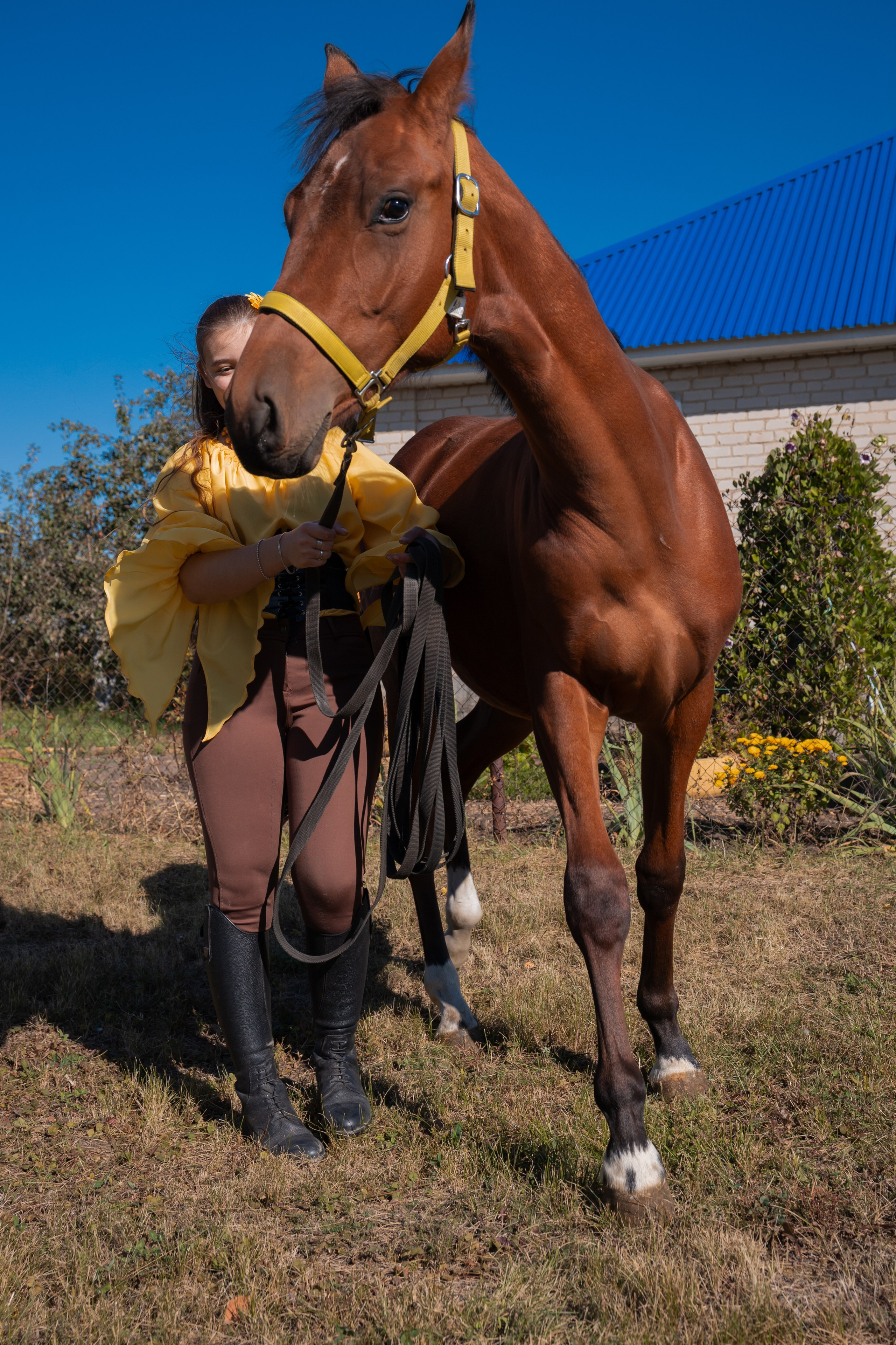 Фотосессия с лошадьми