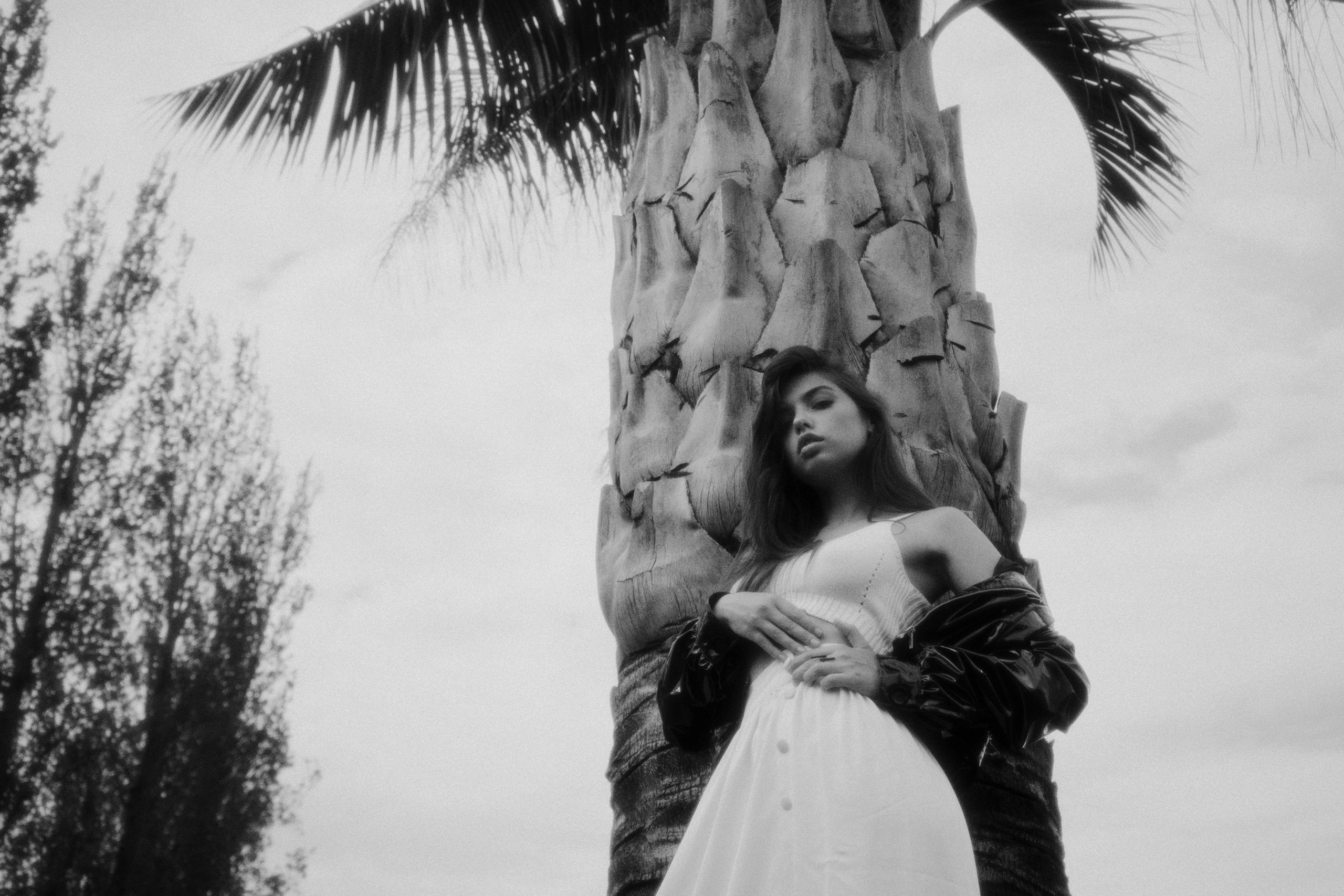 T/r the roots II. Фотограф Юрин Евгений