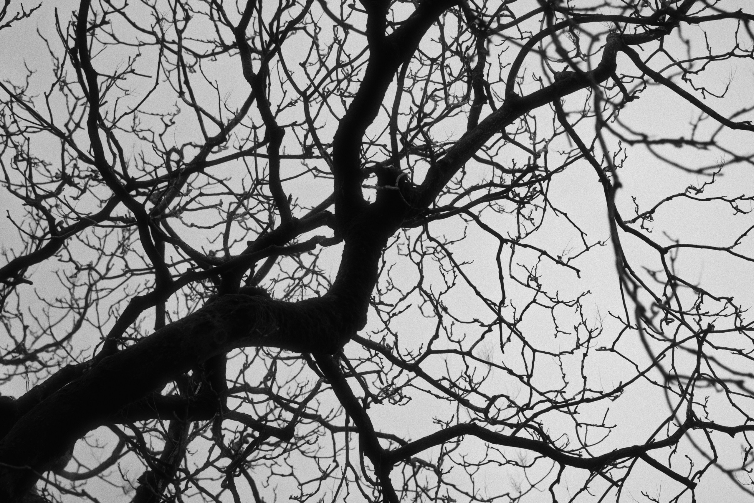 Sochi port (morskaya). Фотограф Юрин Евгений