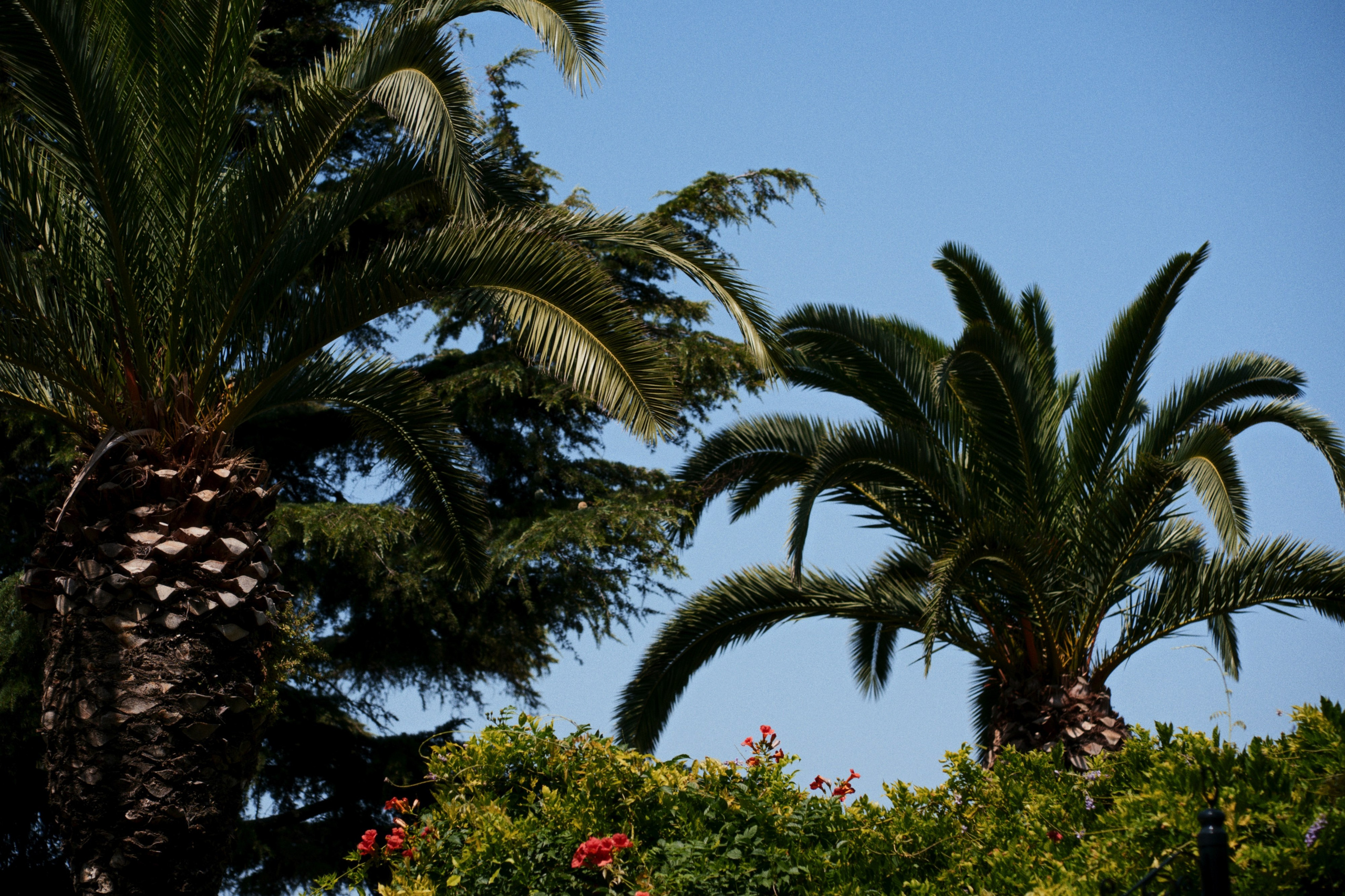 Büyükada х Heybeliada, Istanbul / Türkey SS25. Фотограф Юрин Евгений