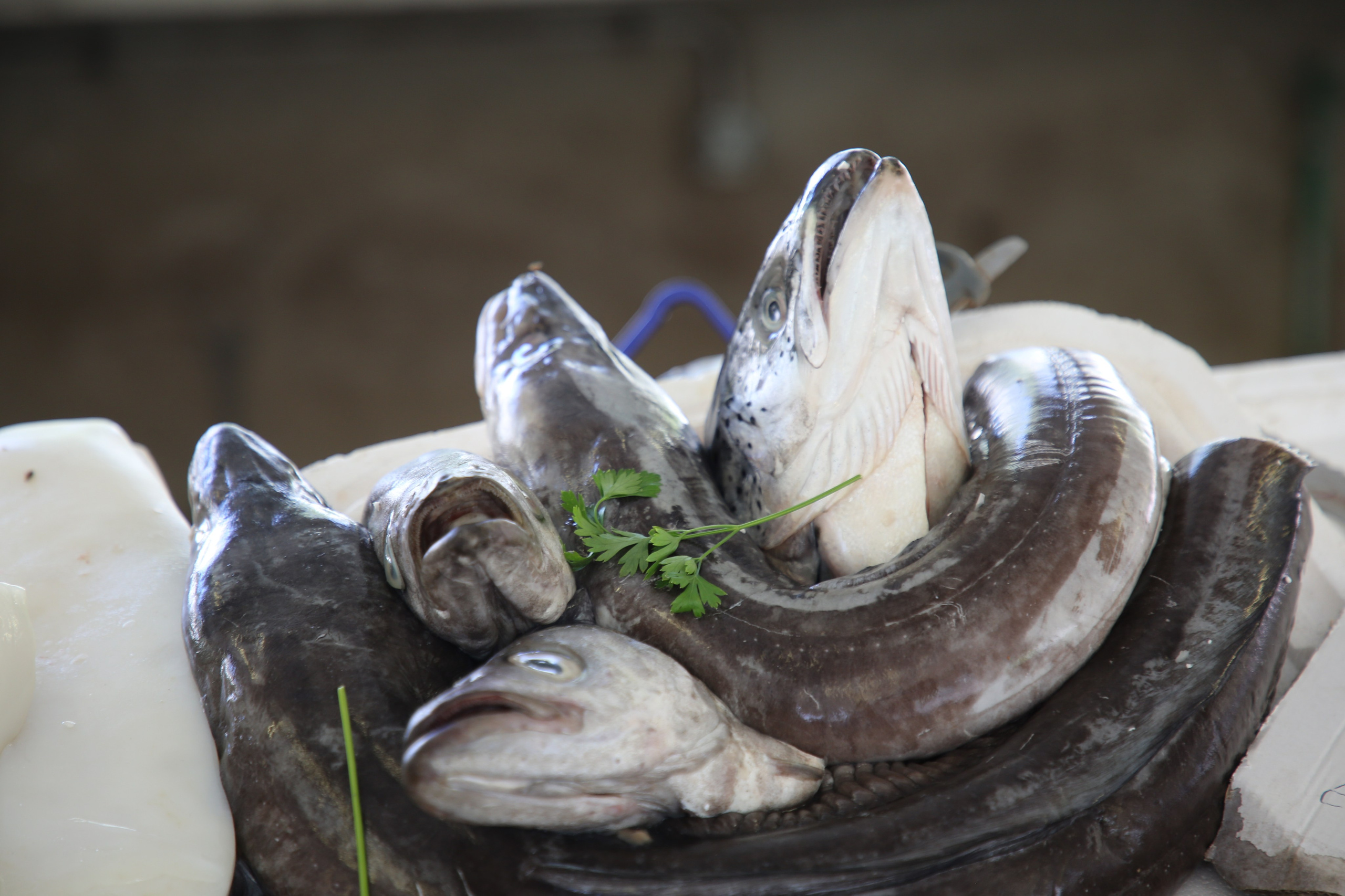 Espihnio, Portugal. Andrey Filippov Photographer