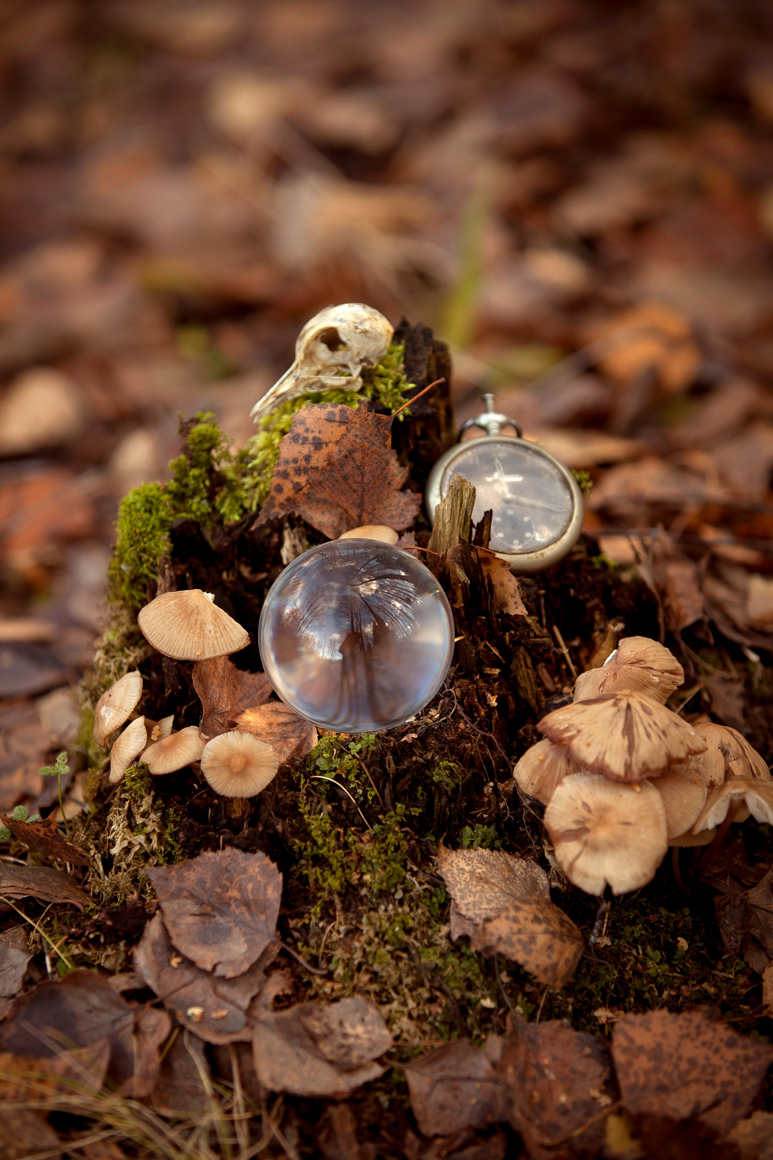 Witch. Фотограф Мария Кольцова