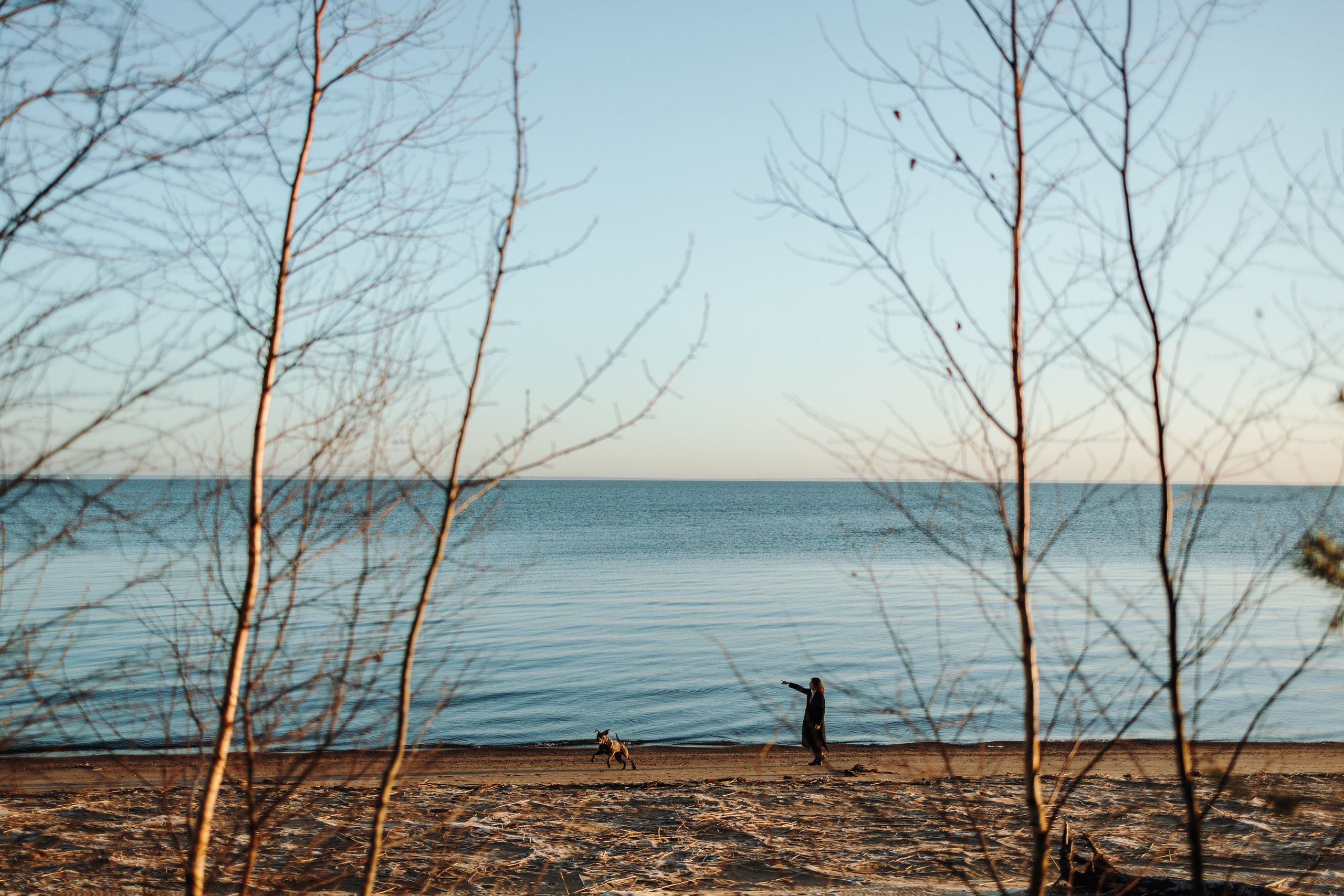 Анна и Лана. Фотограф — Анималист | Санкт-Петербург