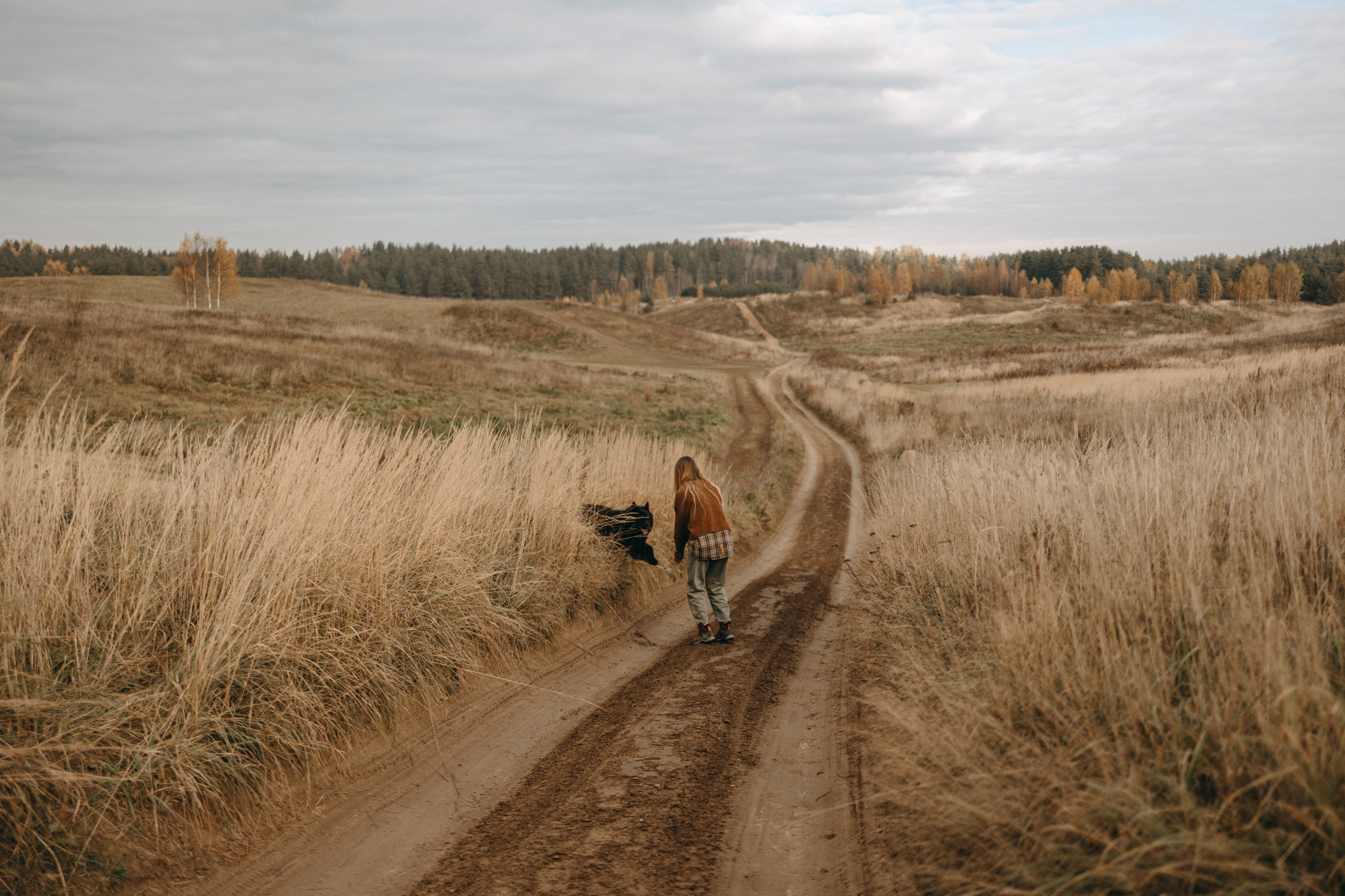 Лора и Джанго. Фотограф — Анималист | Санкт-Петербург