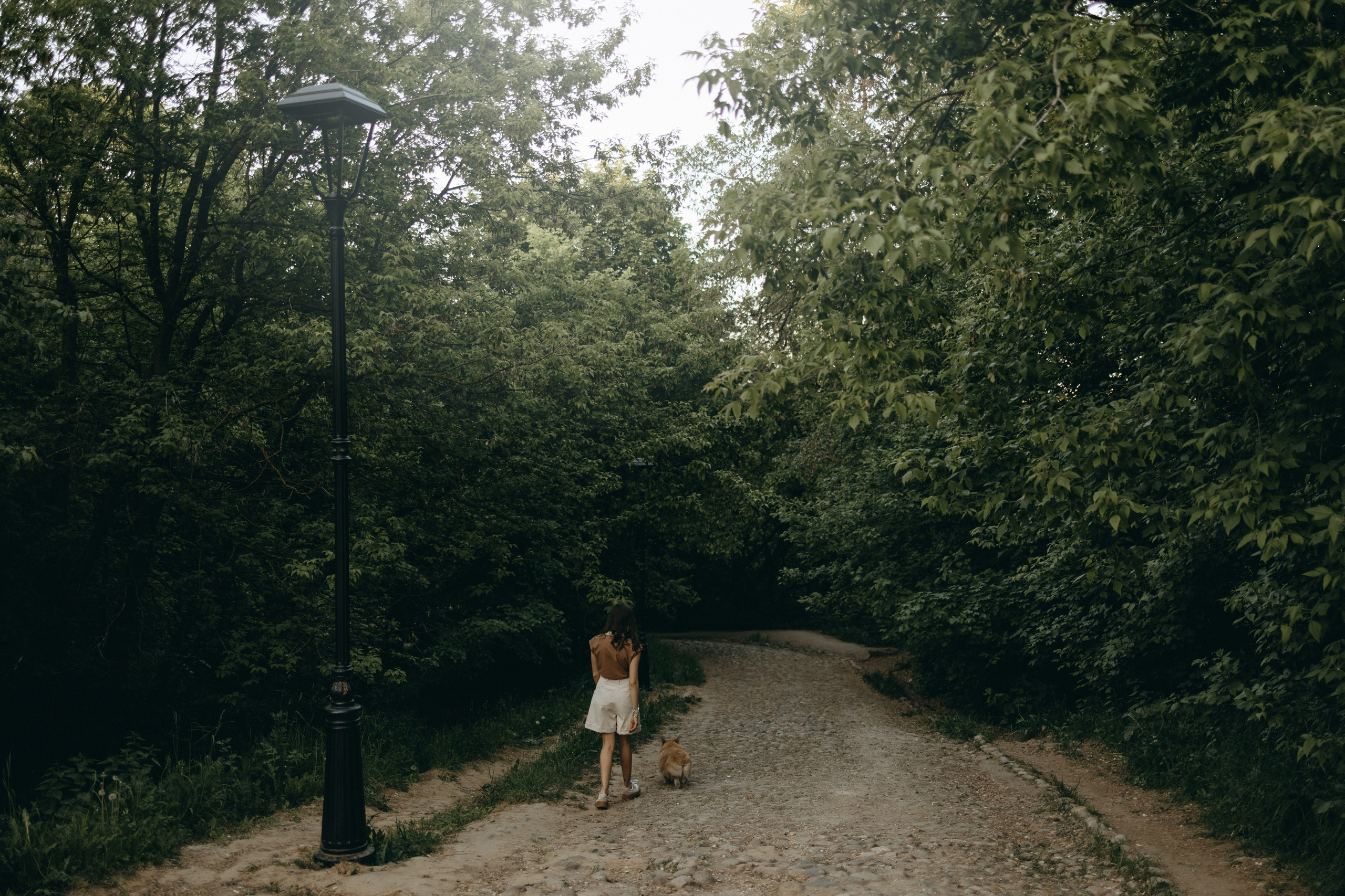 Кристина и Шелби. Фотограф — Анималист | Санкт-Петербург