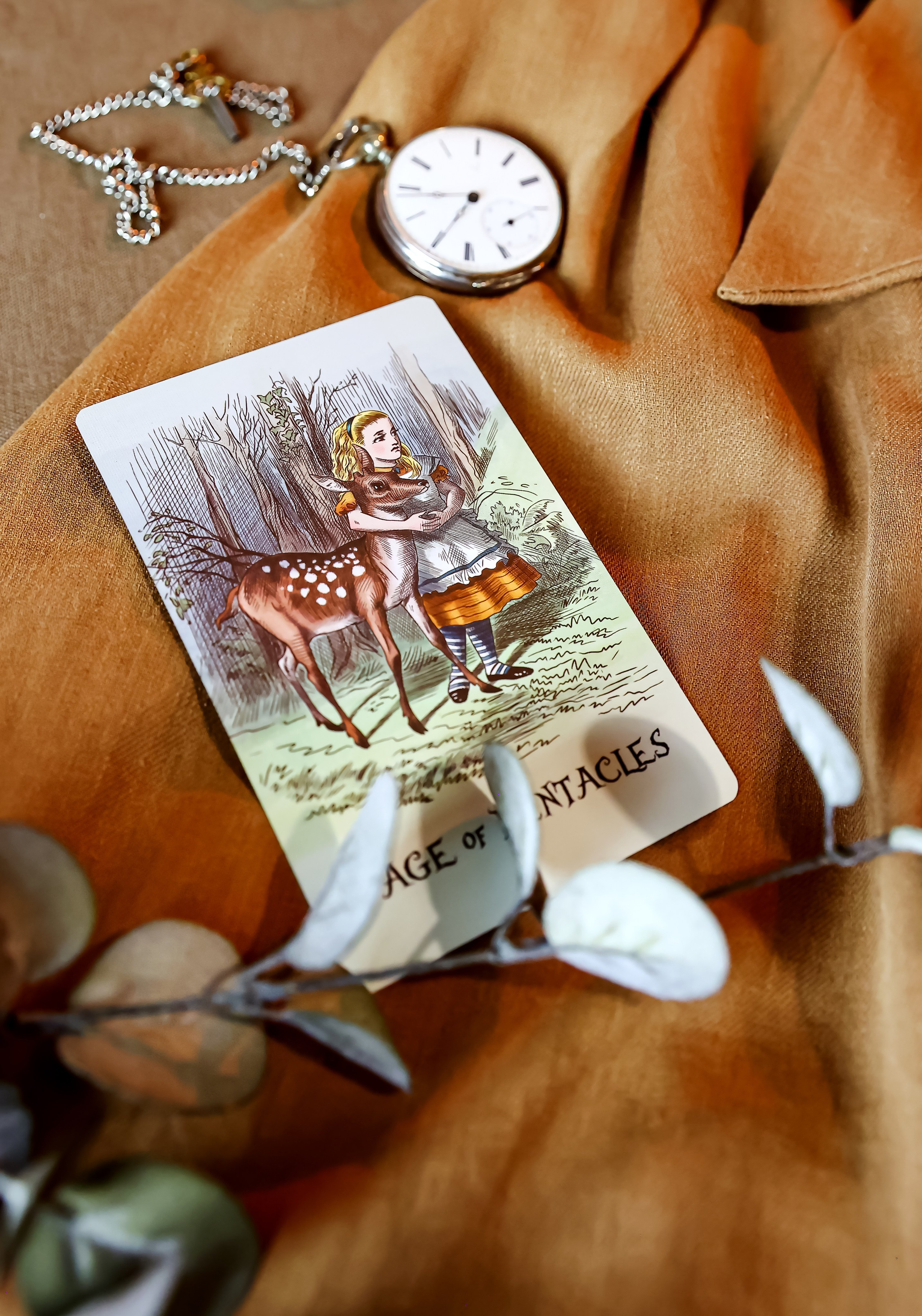 Предметная съемка. Фотограф — Татьяна Кириллова, г. Санкт-Петербург