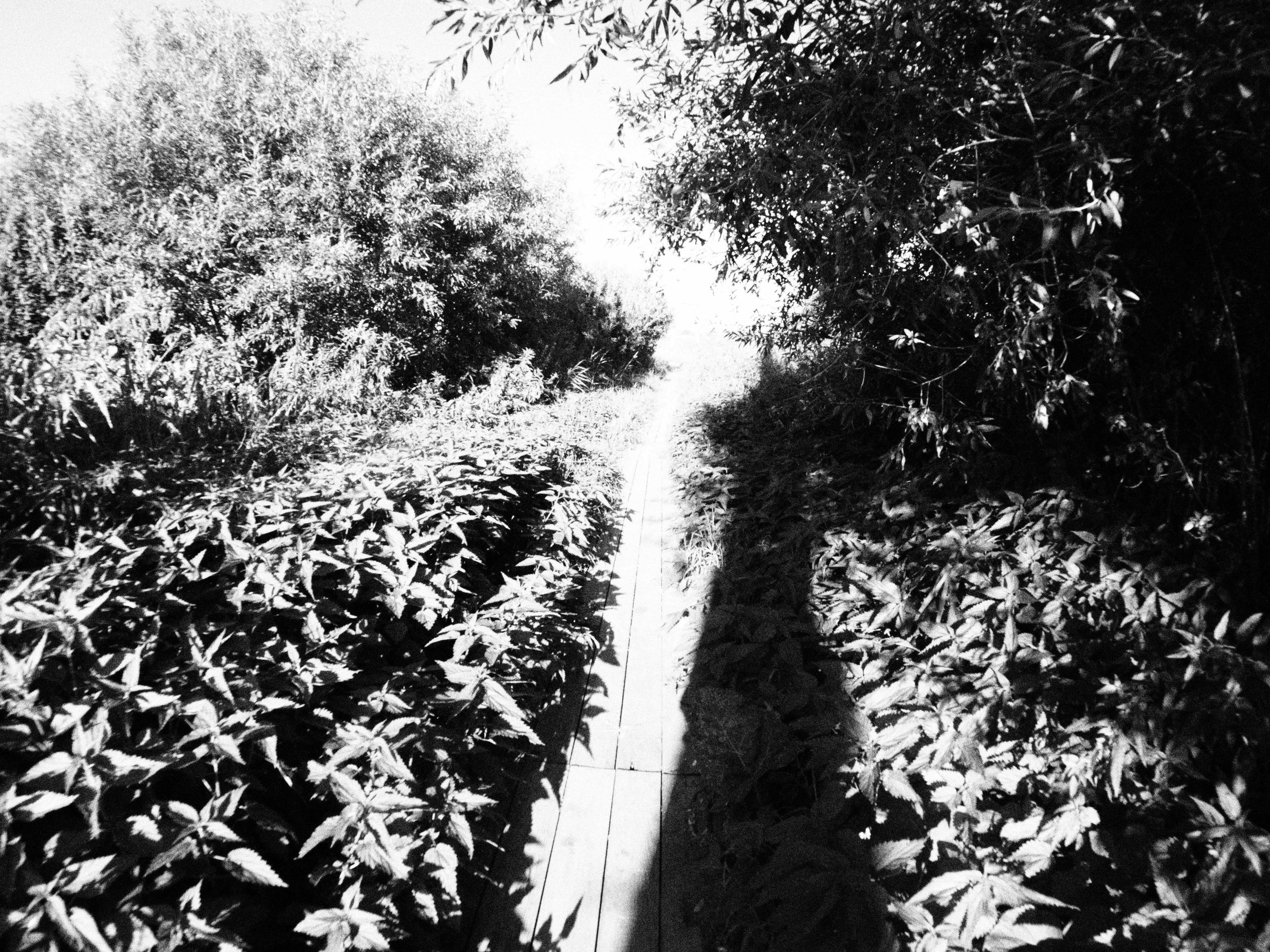 Промежуточные моменты (2023)