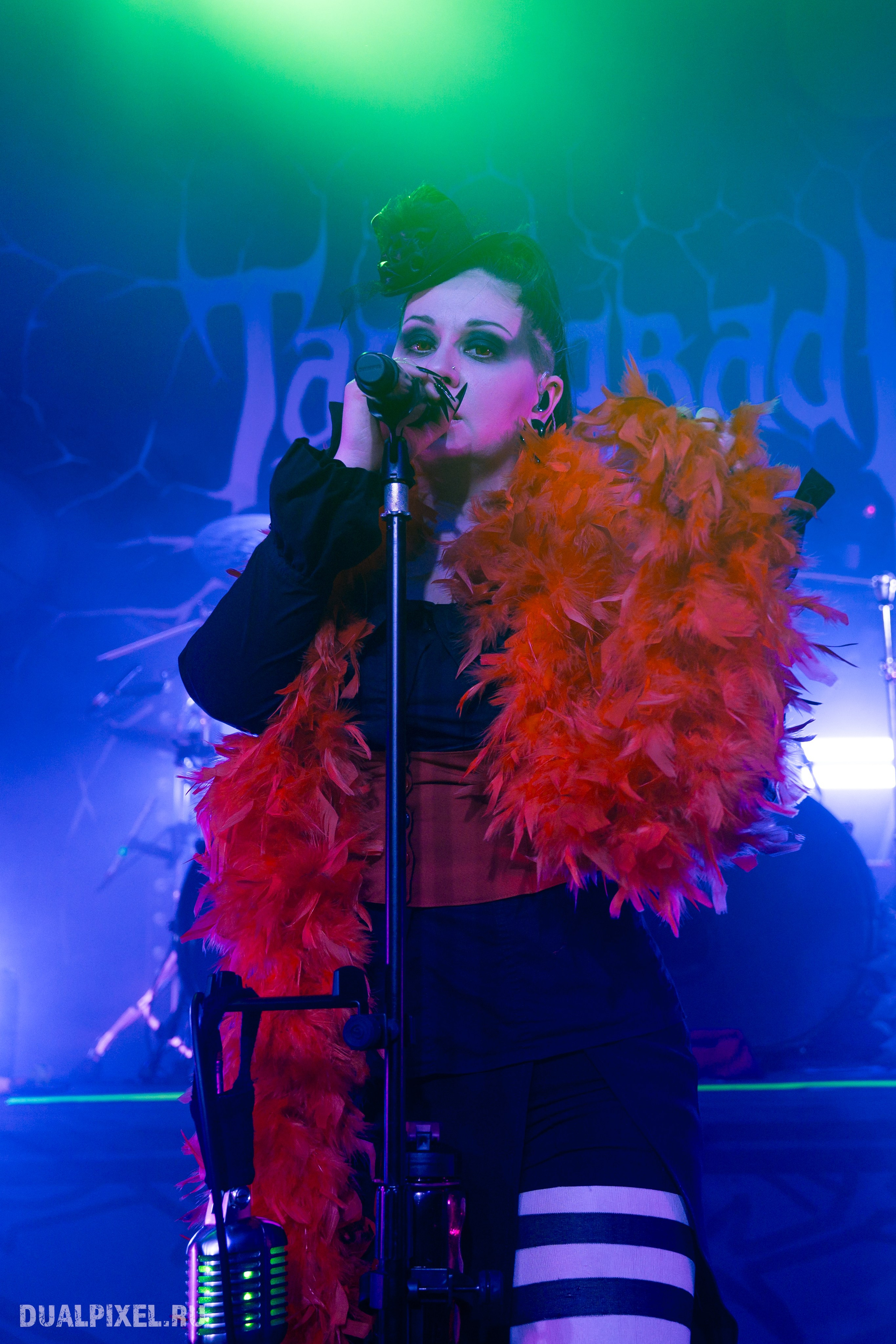 TARDIGRADE INFERNO. Магия музыки в кадре: Концертная Фотография