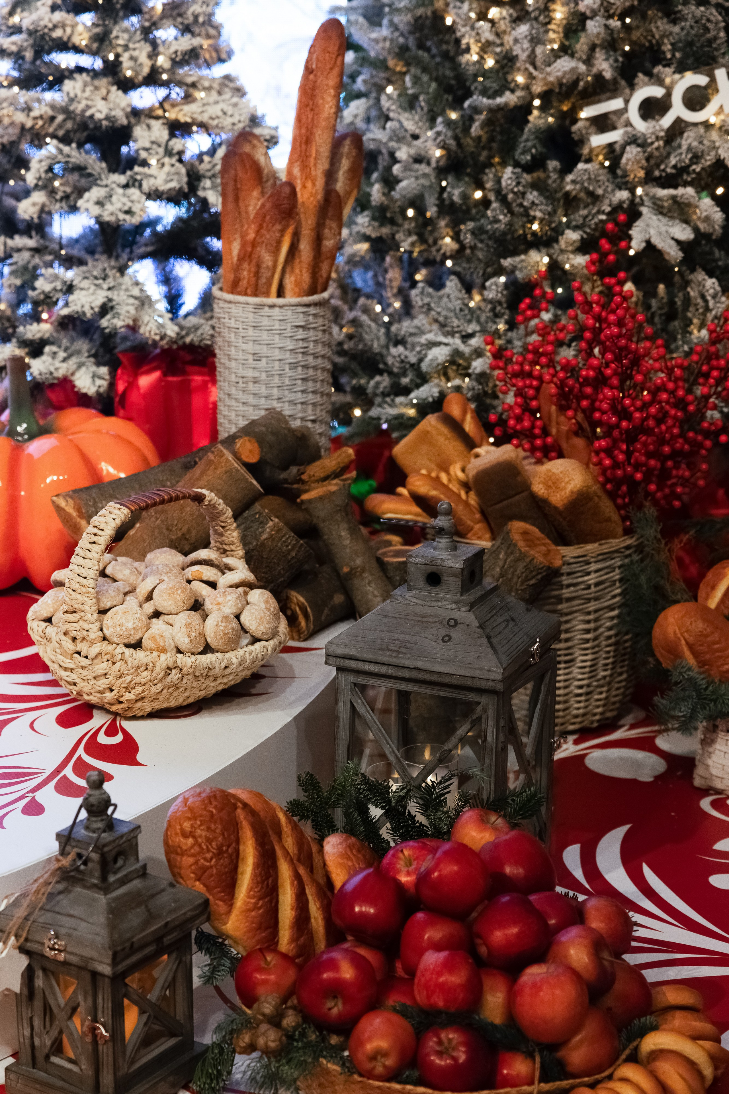 ССК. Арина Тамочкина. Фотограф Краснодарю