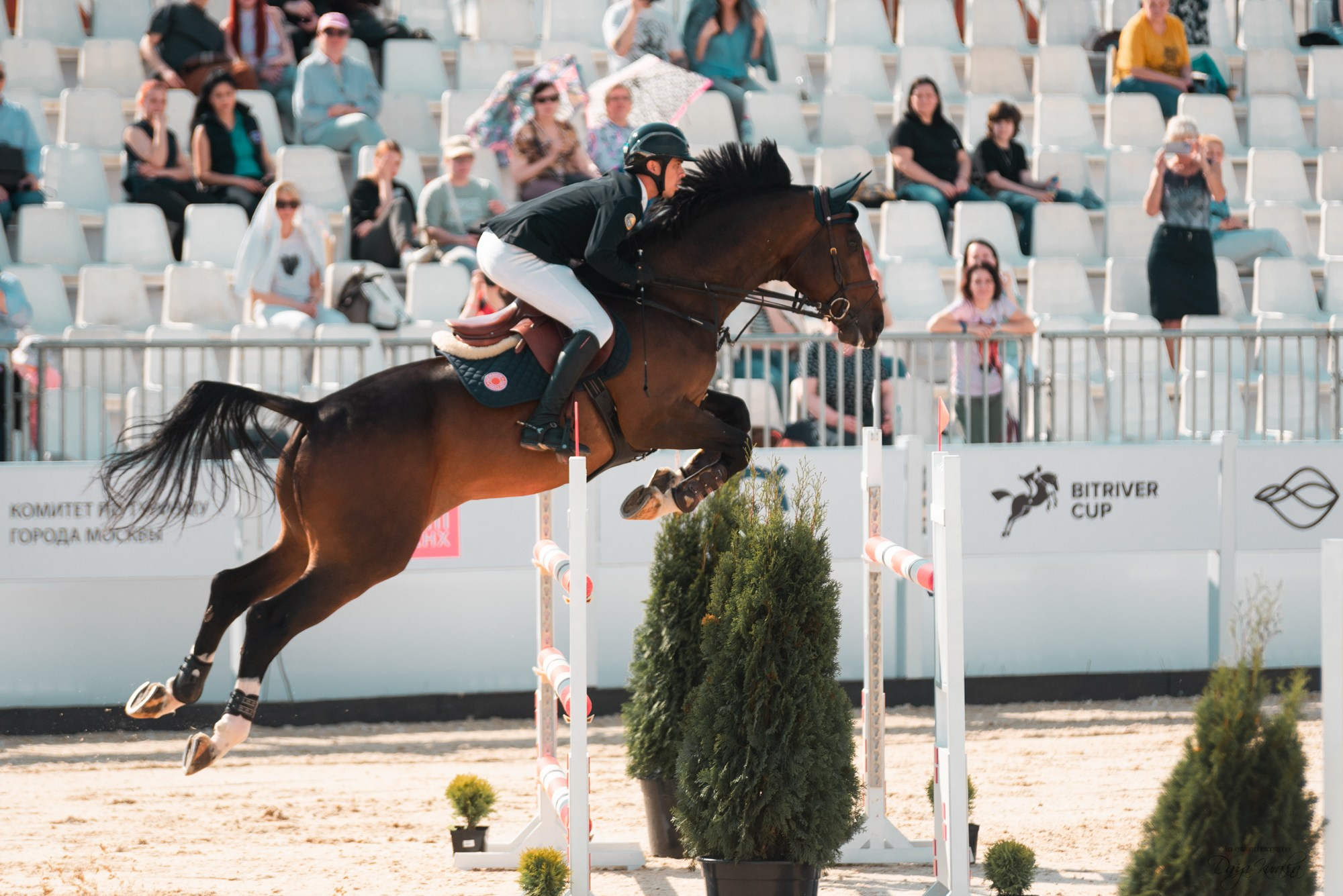 BITRIVER CUP 2023. Конный фотограф Куракина Дарья • Фотосессии с лошадьми