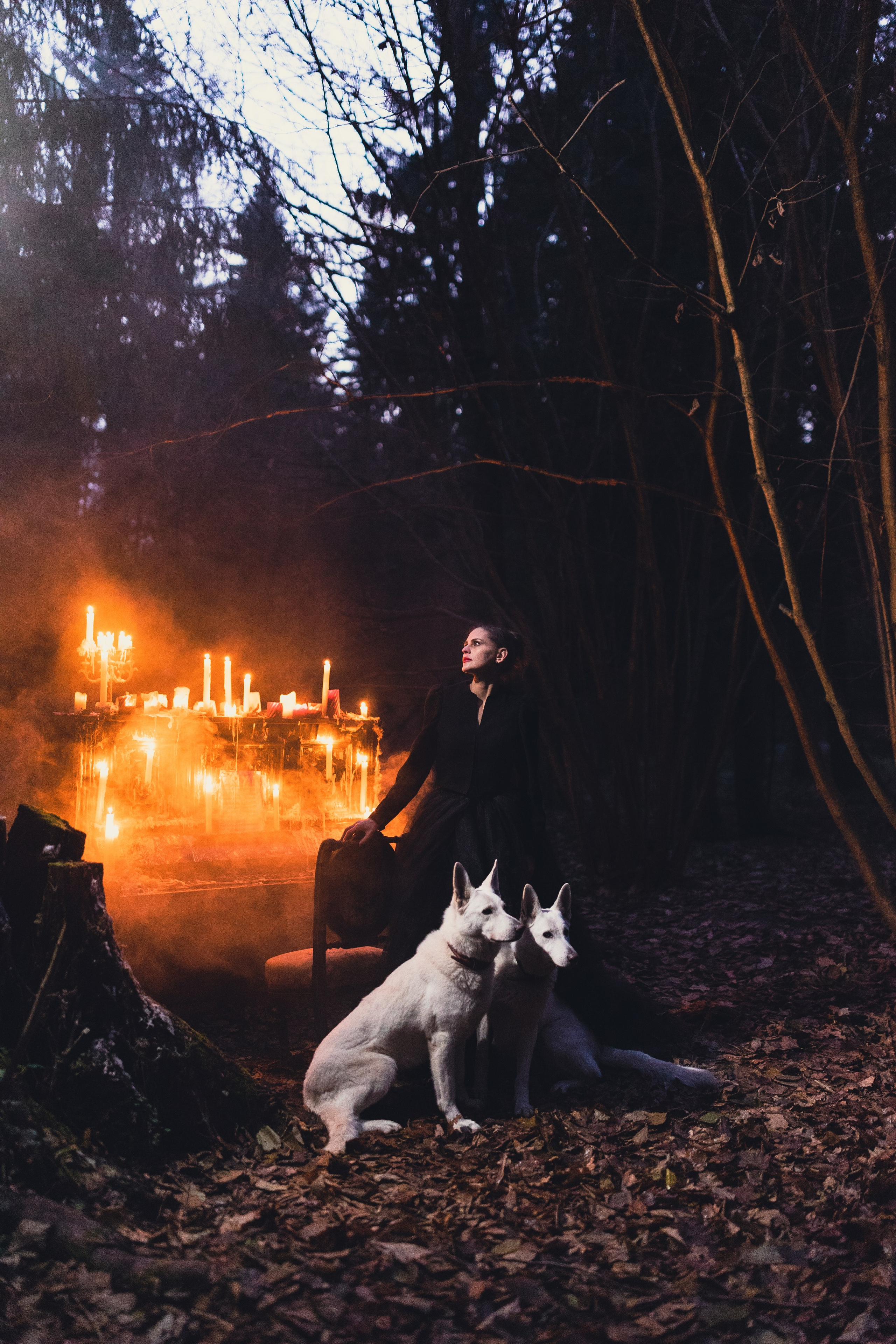 Тайны леса. Сказочный фотограф для Вас и Вашей семьи