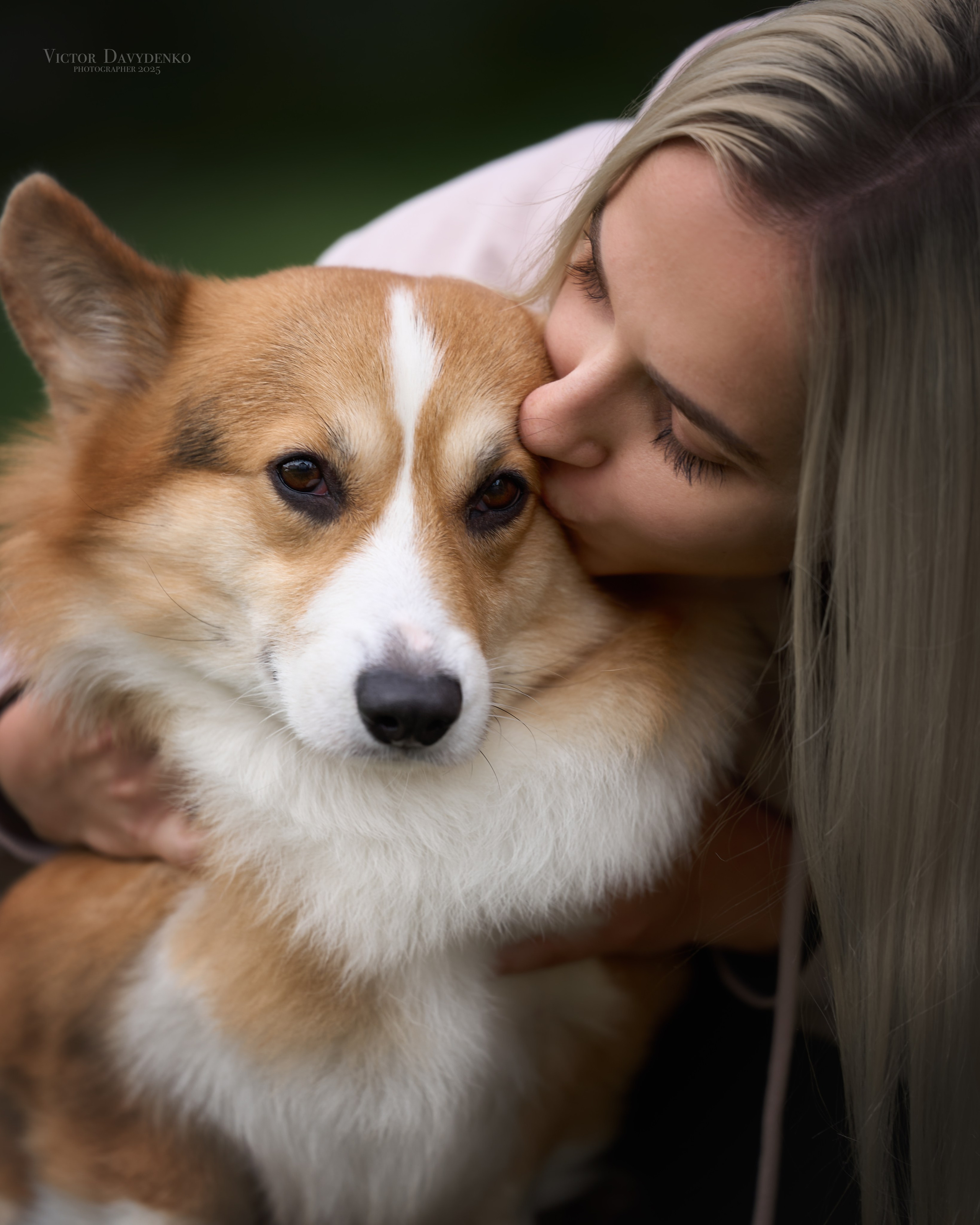 фотограф краснодар сочи , фотосессия в Краснодаре , фотограф анималист , фото с собаками , фото с животными 