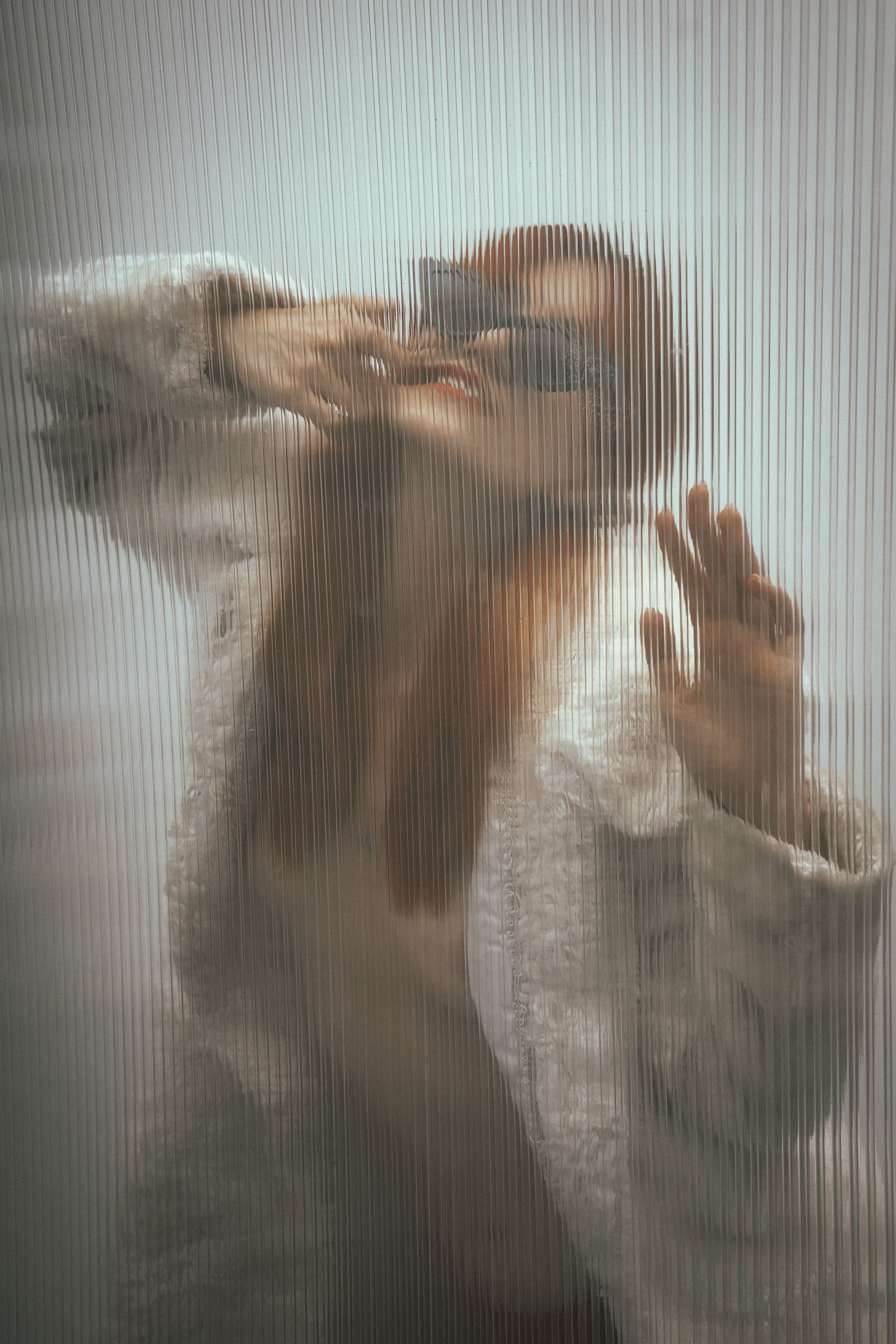 Лая. Gorbunova Alina Фотограф