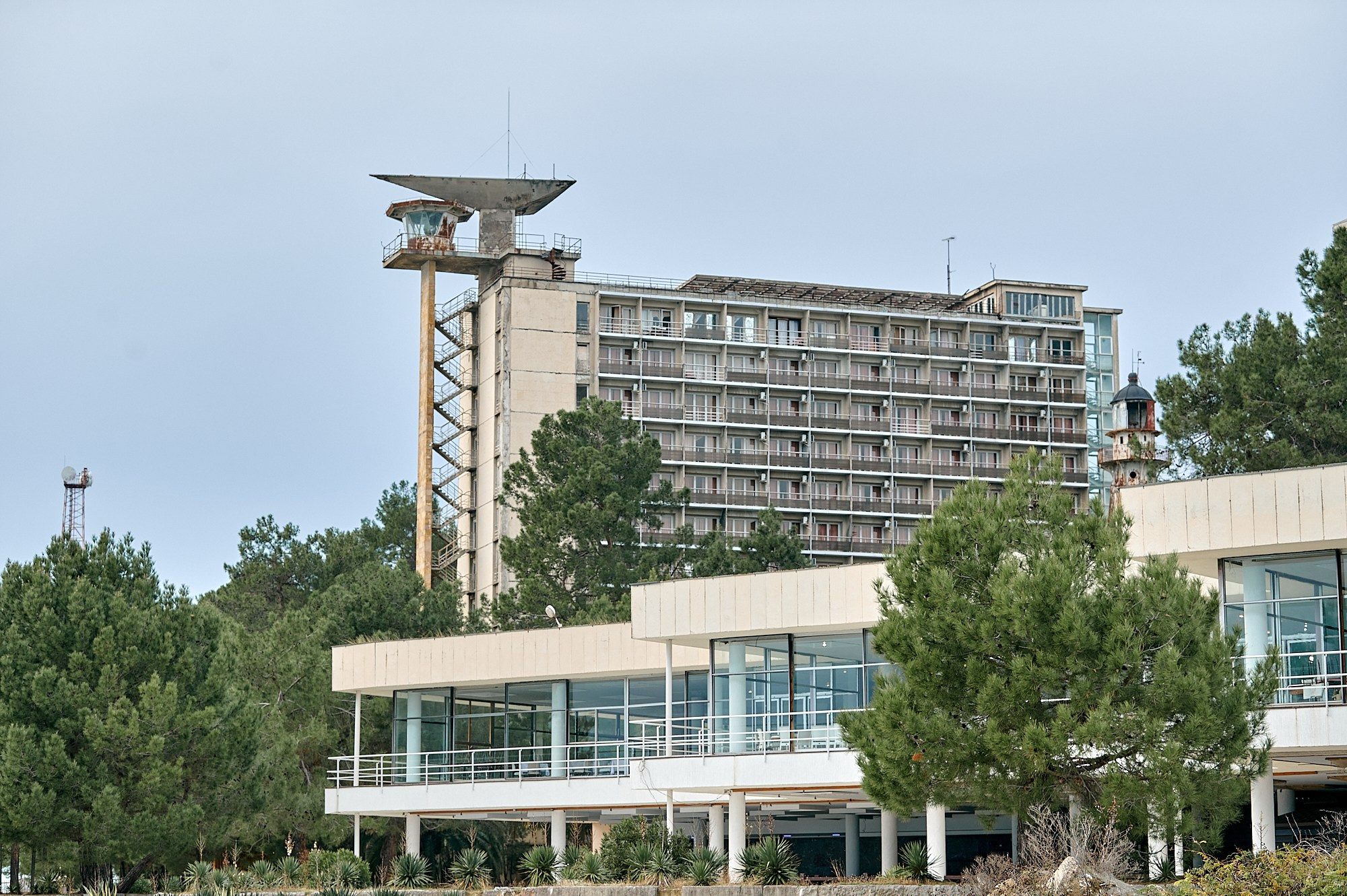 Пицунда, Абхазия. Декабрь 2024. Фотографии отовсюду и обо всем