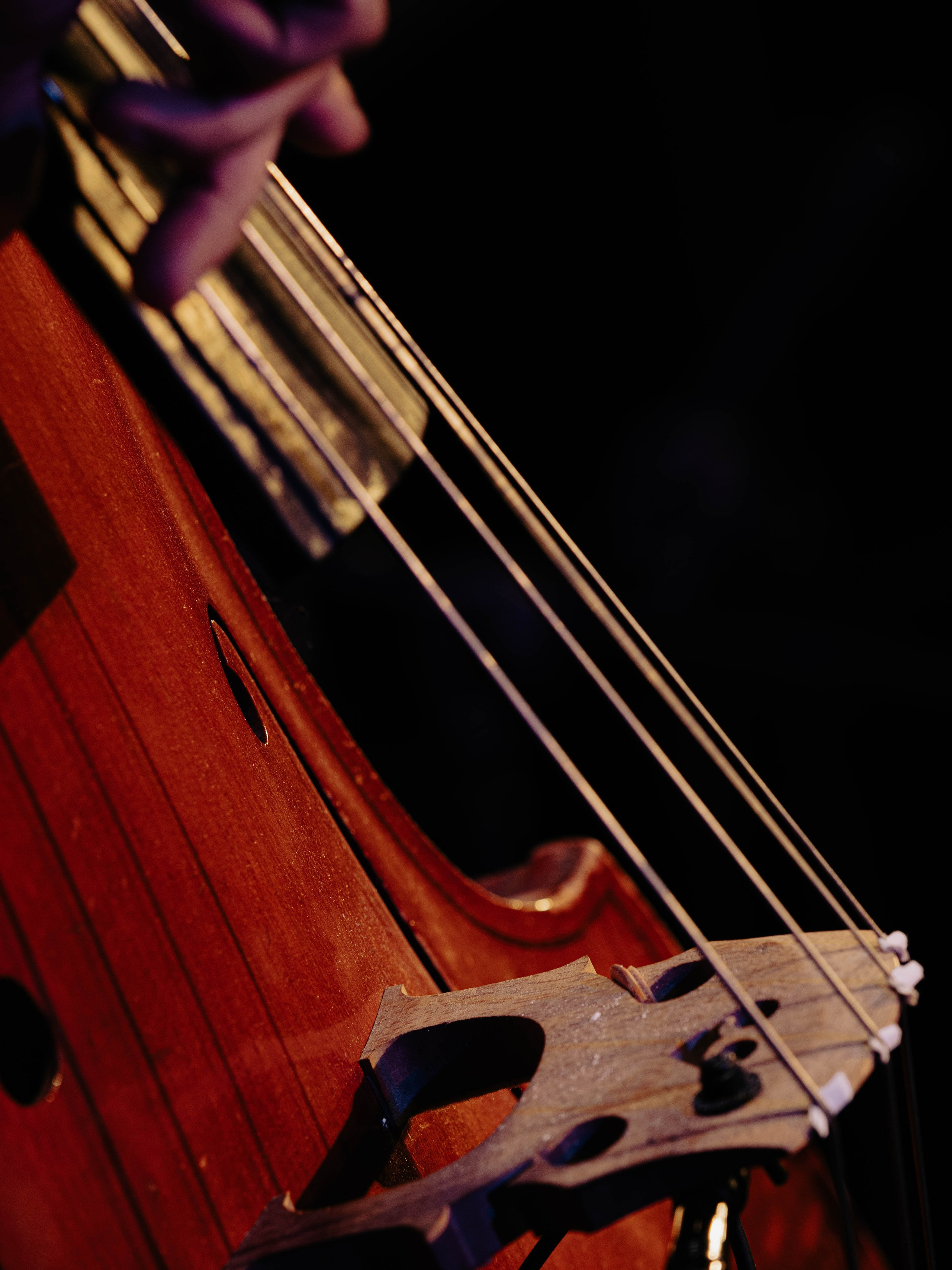 Музыка не в лицах. Видеограф Нижний Новгород, Санкт-Петербург Лена Латышева