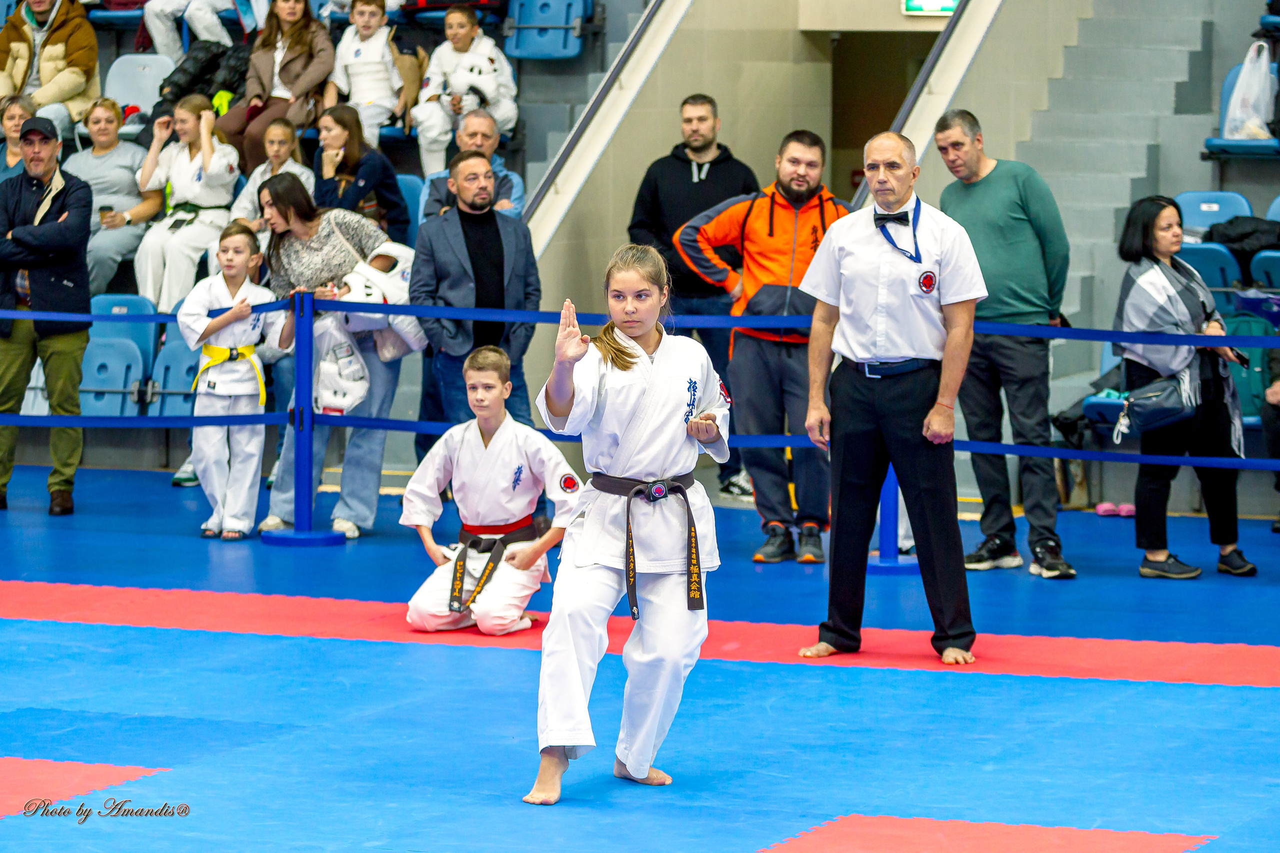 Чемпионат по Киокушинкай Центрального Федерального округа. Репортажная съемка в Москве и области. Анималистика