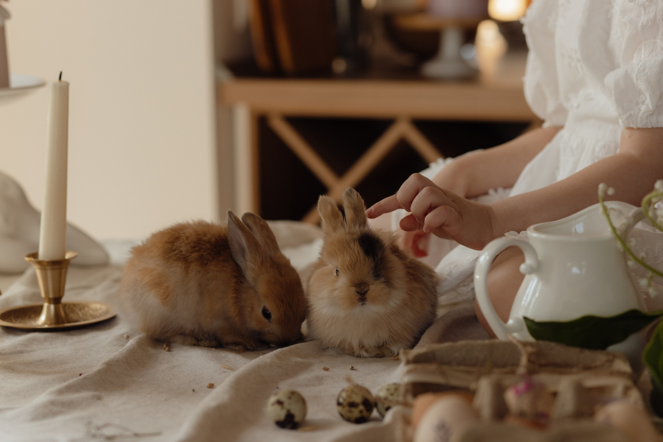Варвара. Семейный и свадебный фотограф в Челябинске Мария Леонтьева