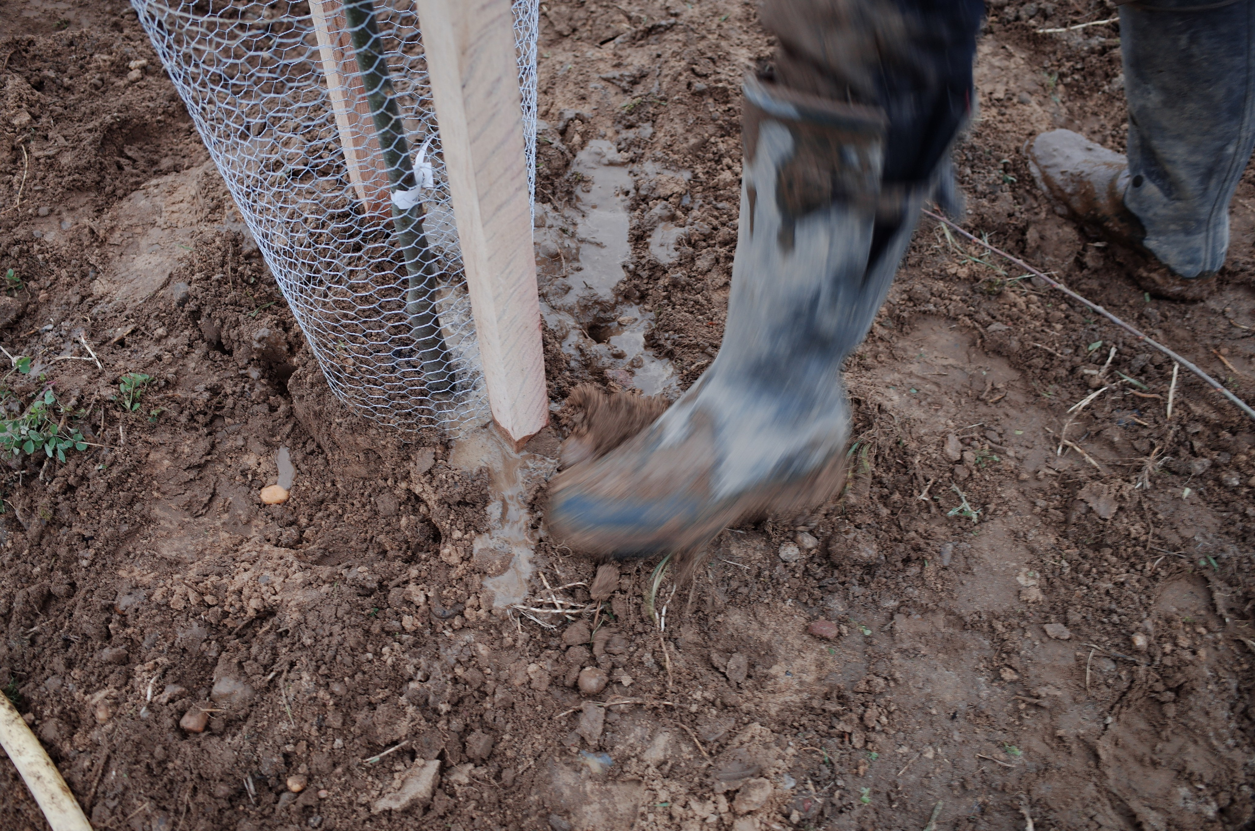 Farmers. Aleksander Chernov — Documentary filmmaker and photographer