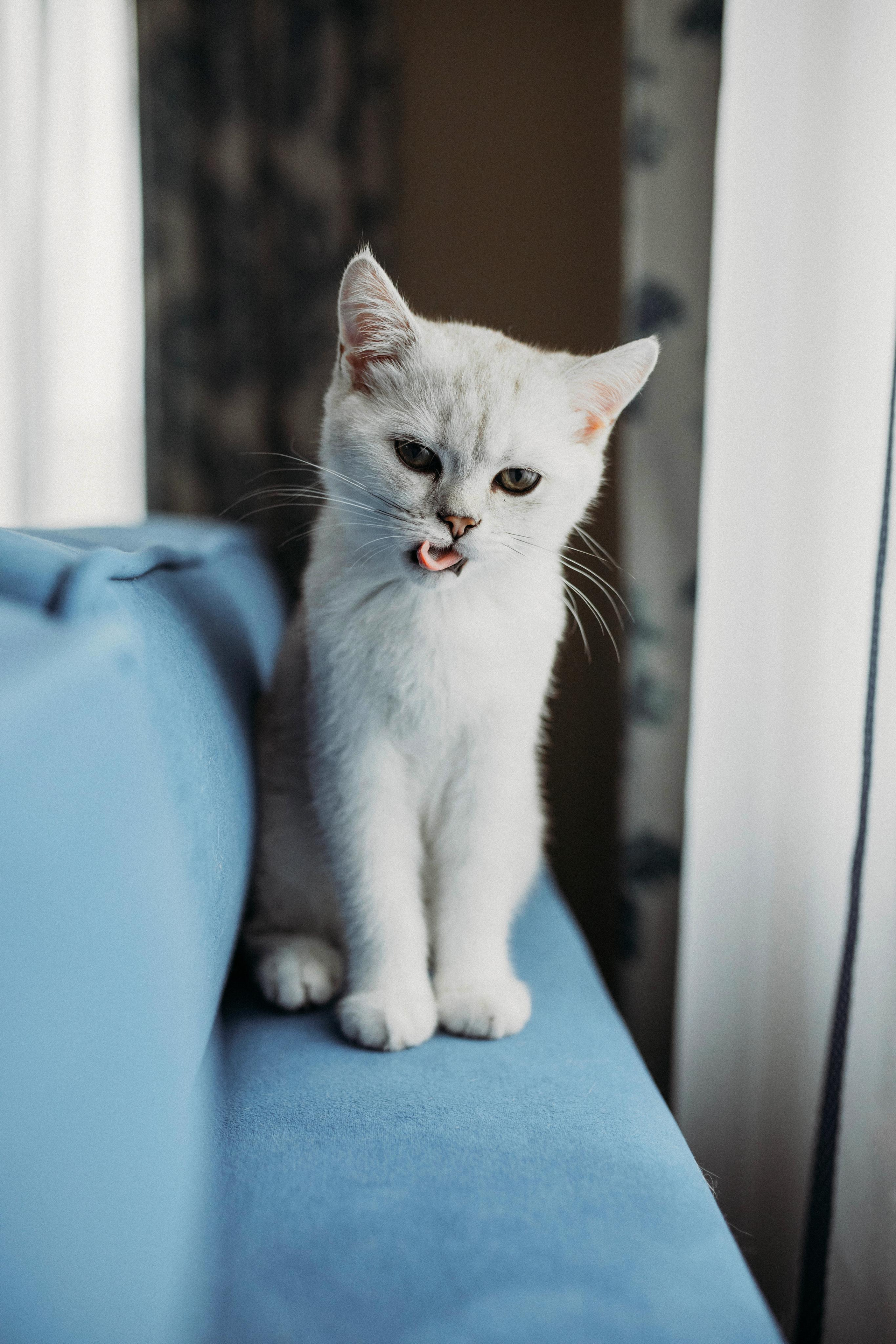 Яна и Даня. Главная