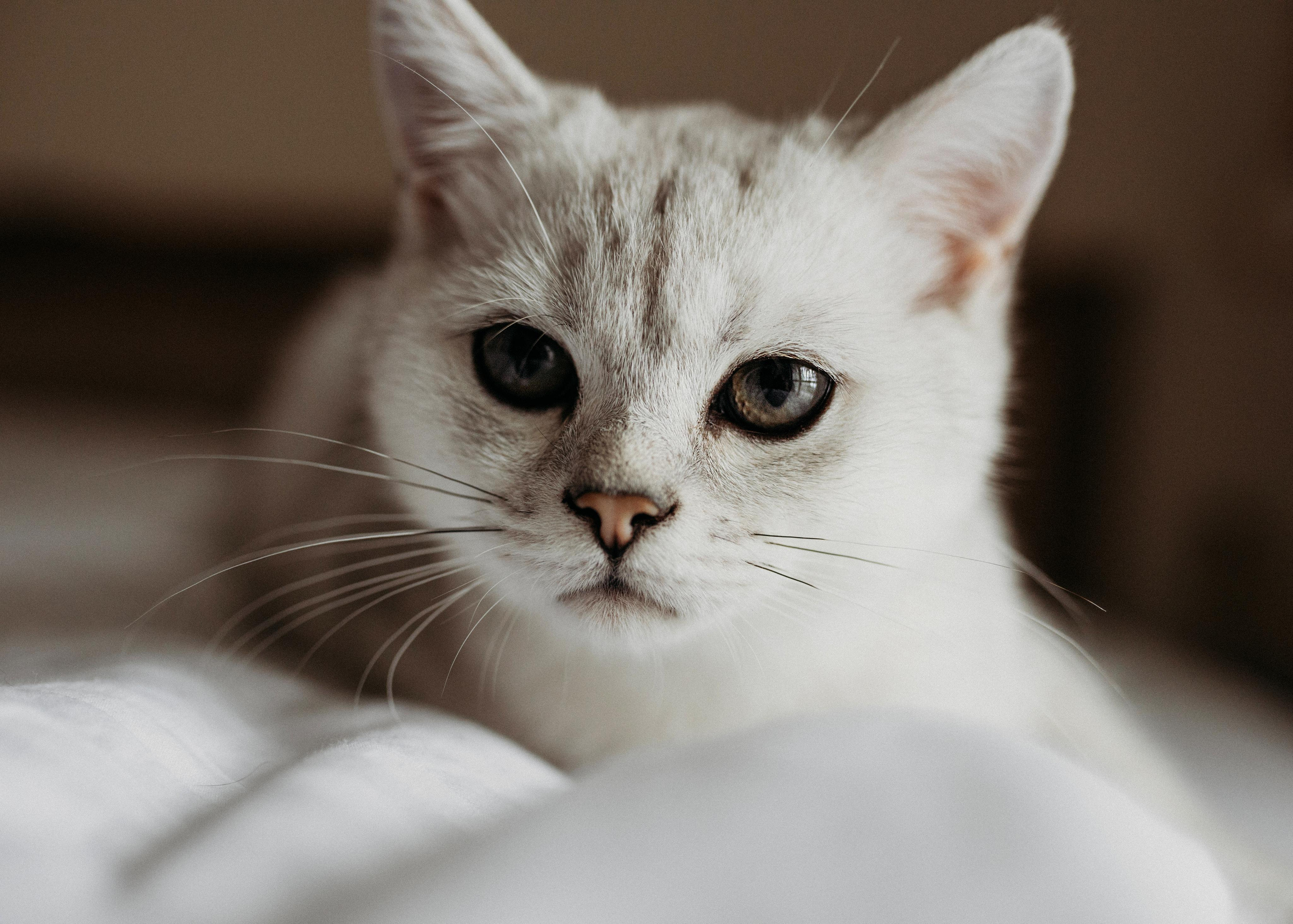 Яна и Даня. Главная