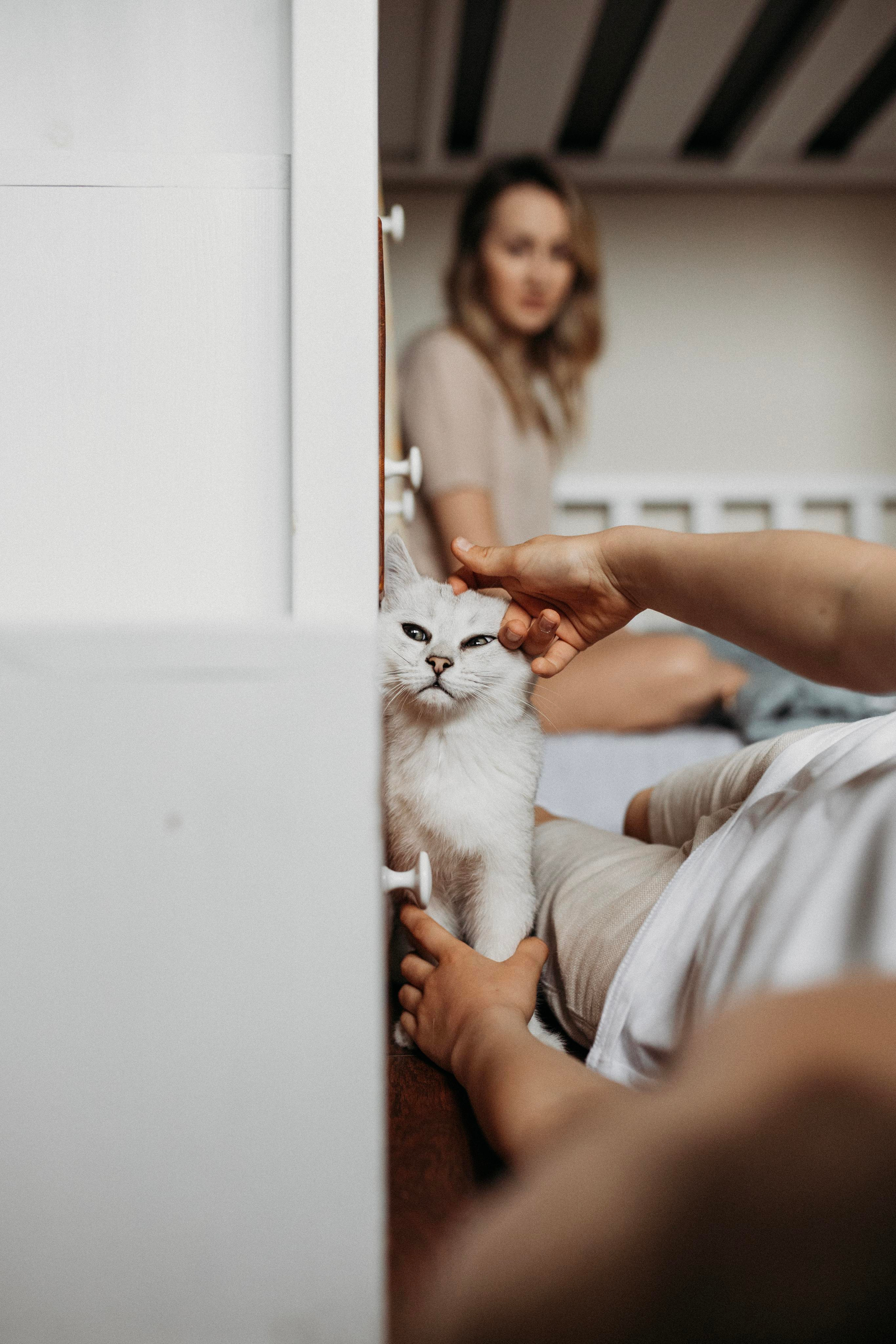 Яна и Даня. Главная