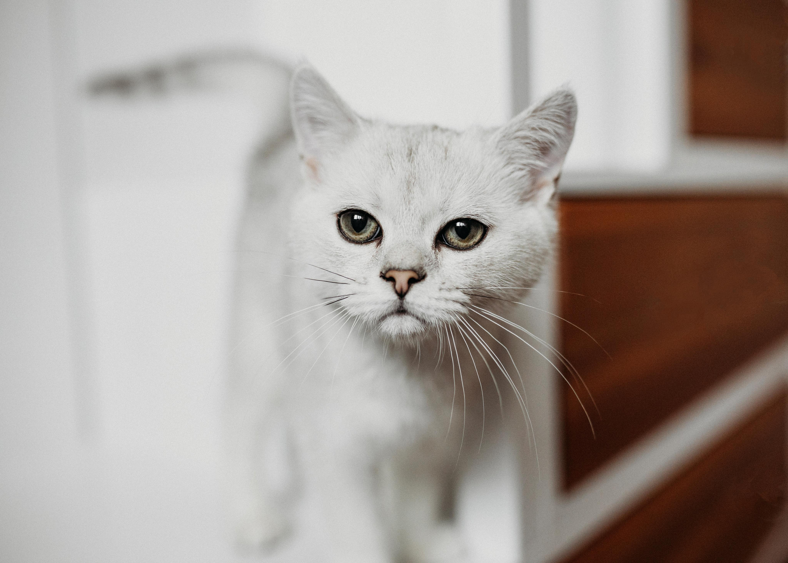 Яна и Даня. Главная