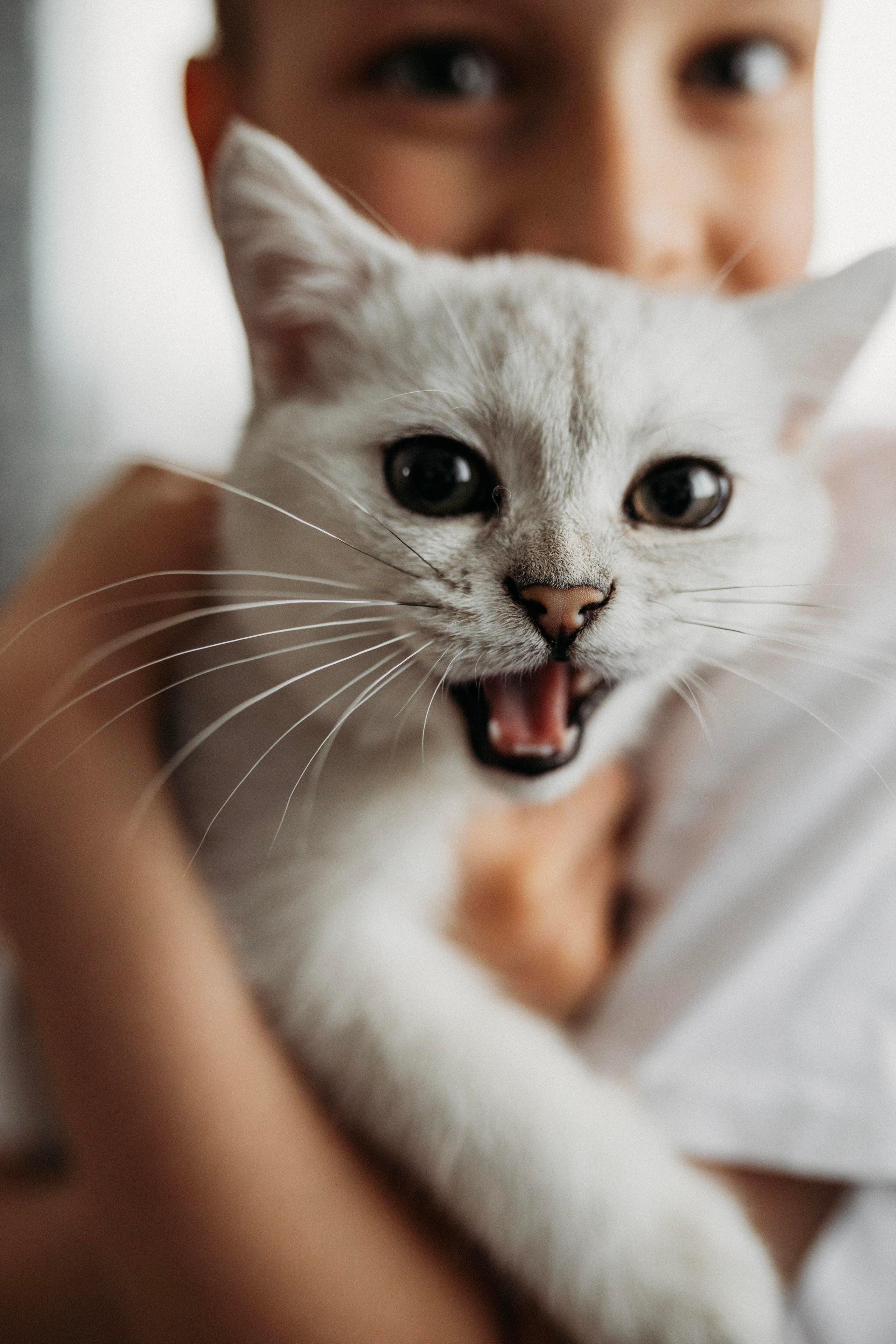 Яна и Даня. Главная