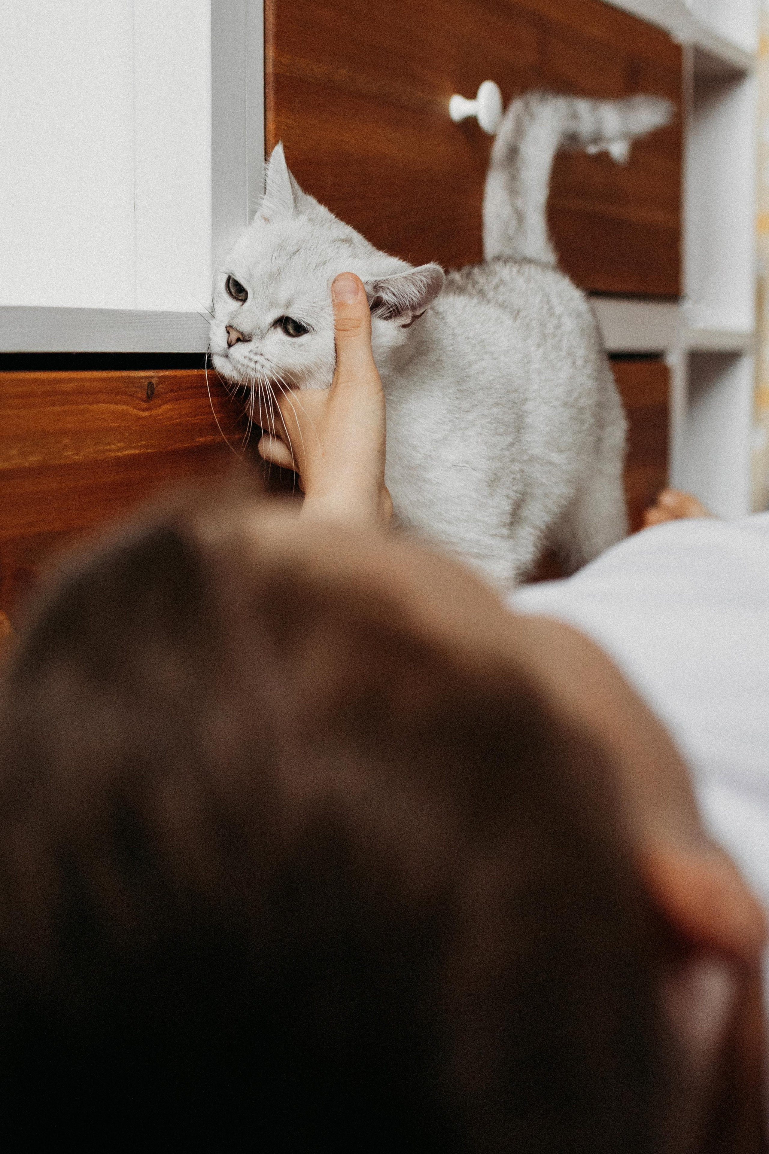 Яна и Даня. Главная