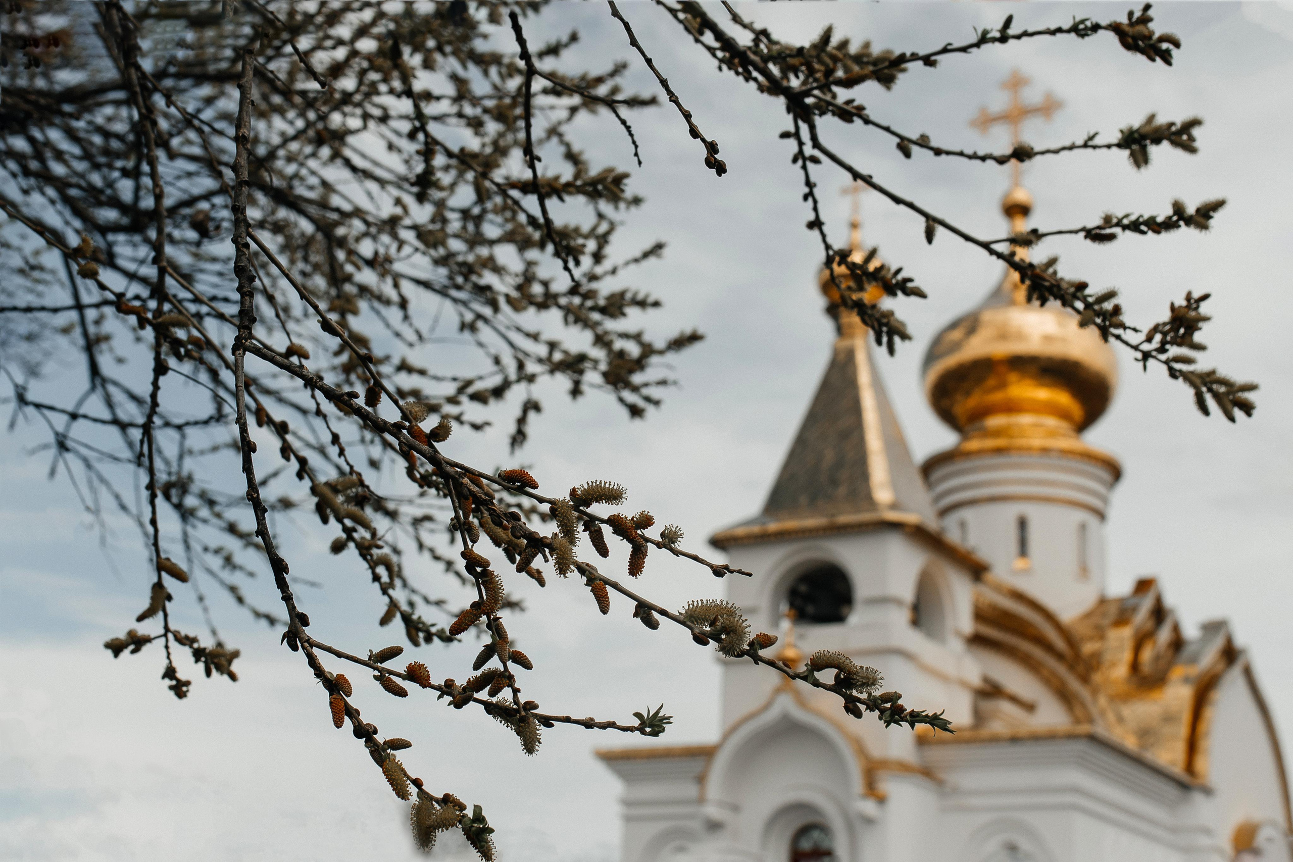 Тимофей. Главная