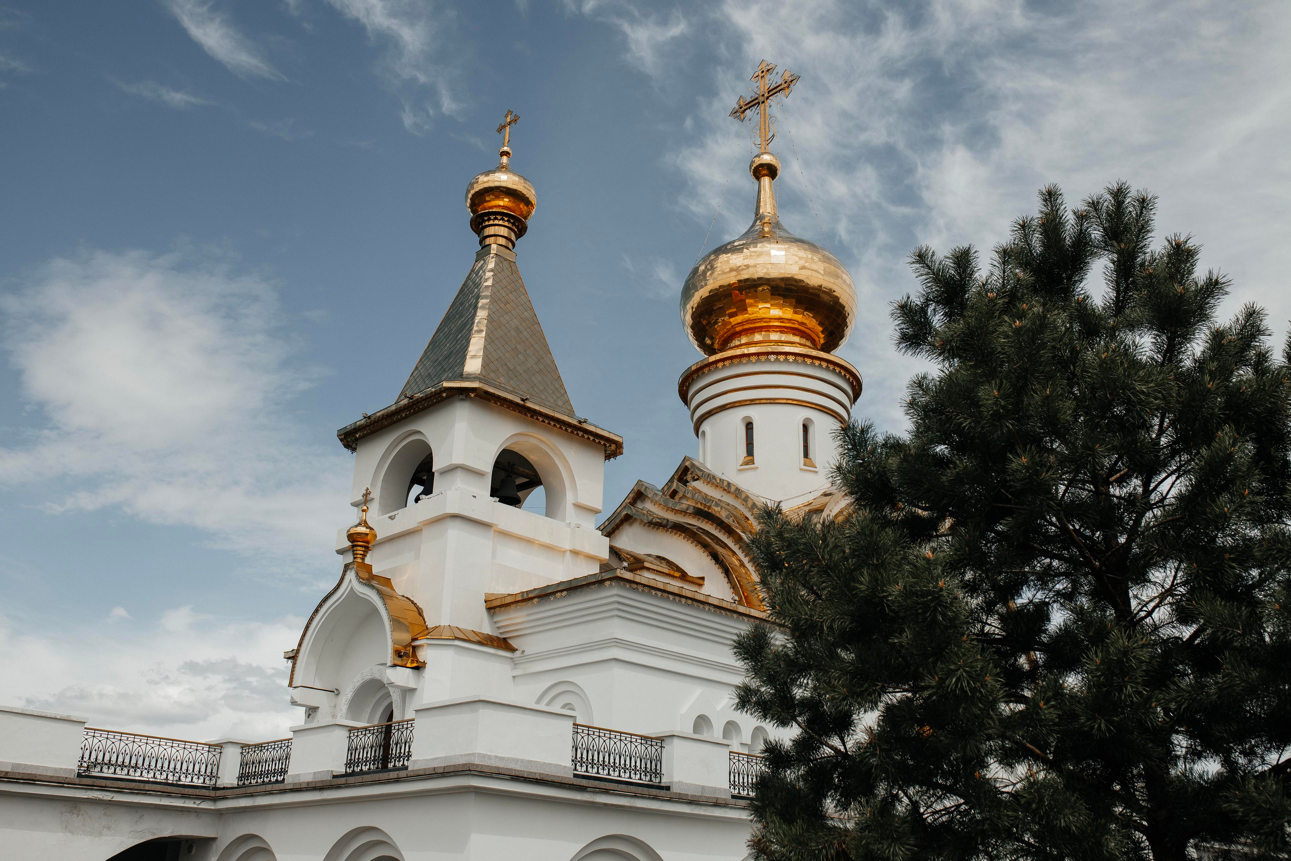 Тимофей. Главная