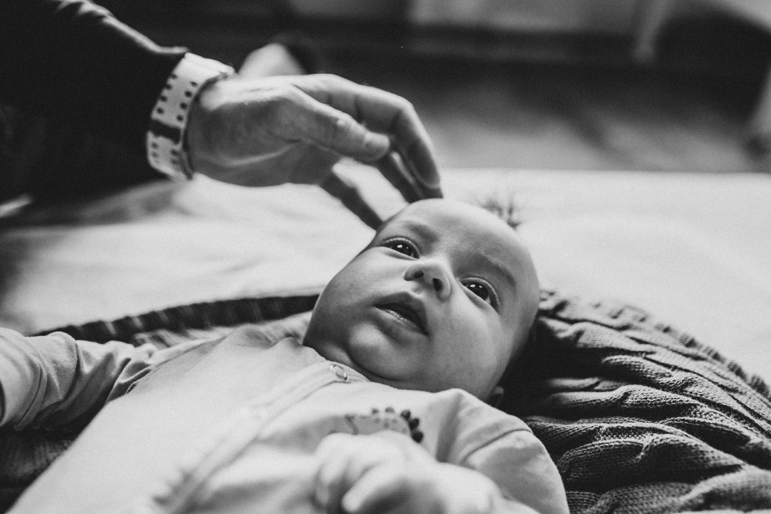 Арсений. Главная