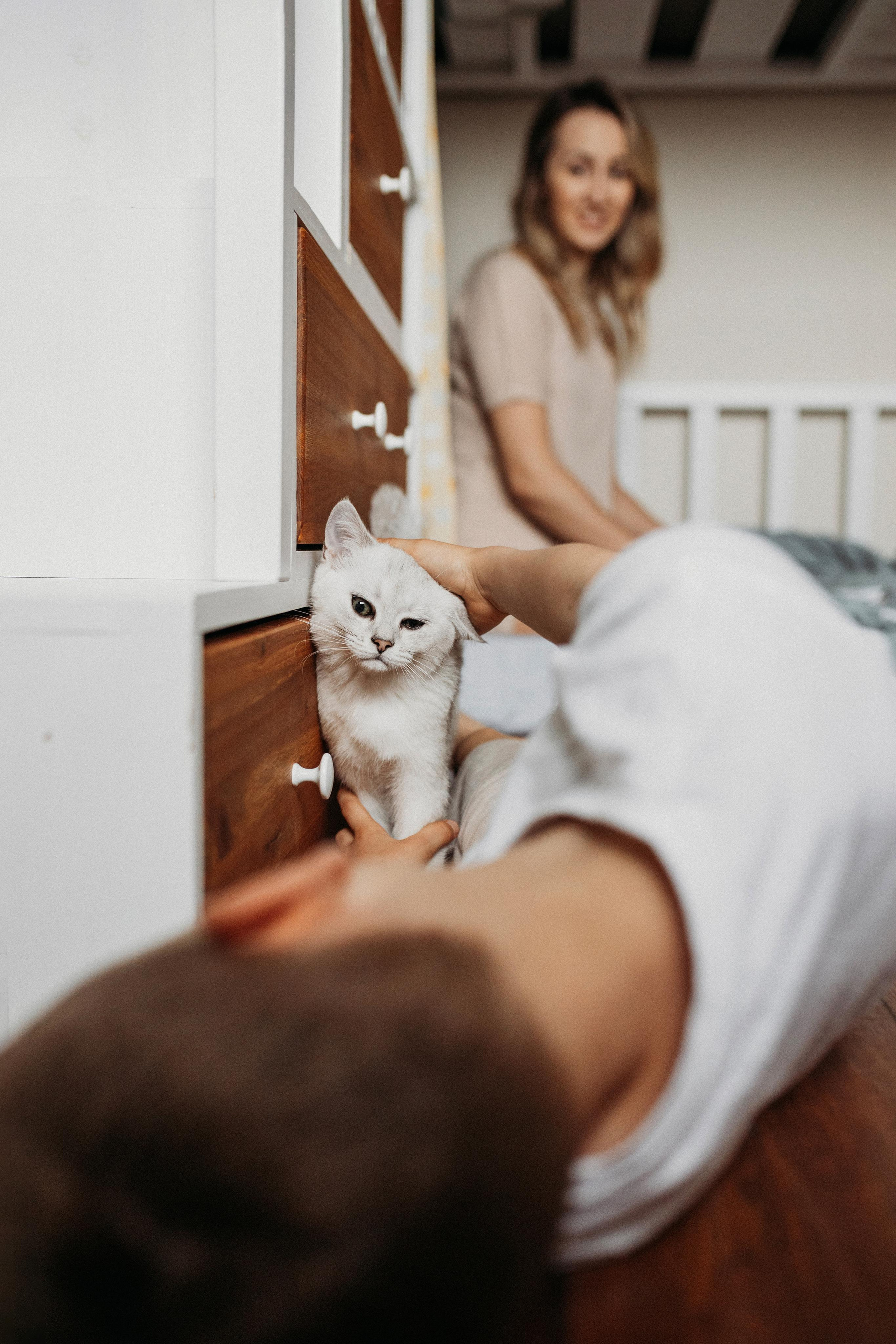 Яна и Даня. Главная