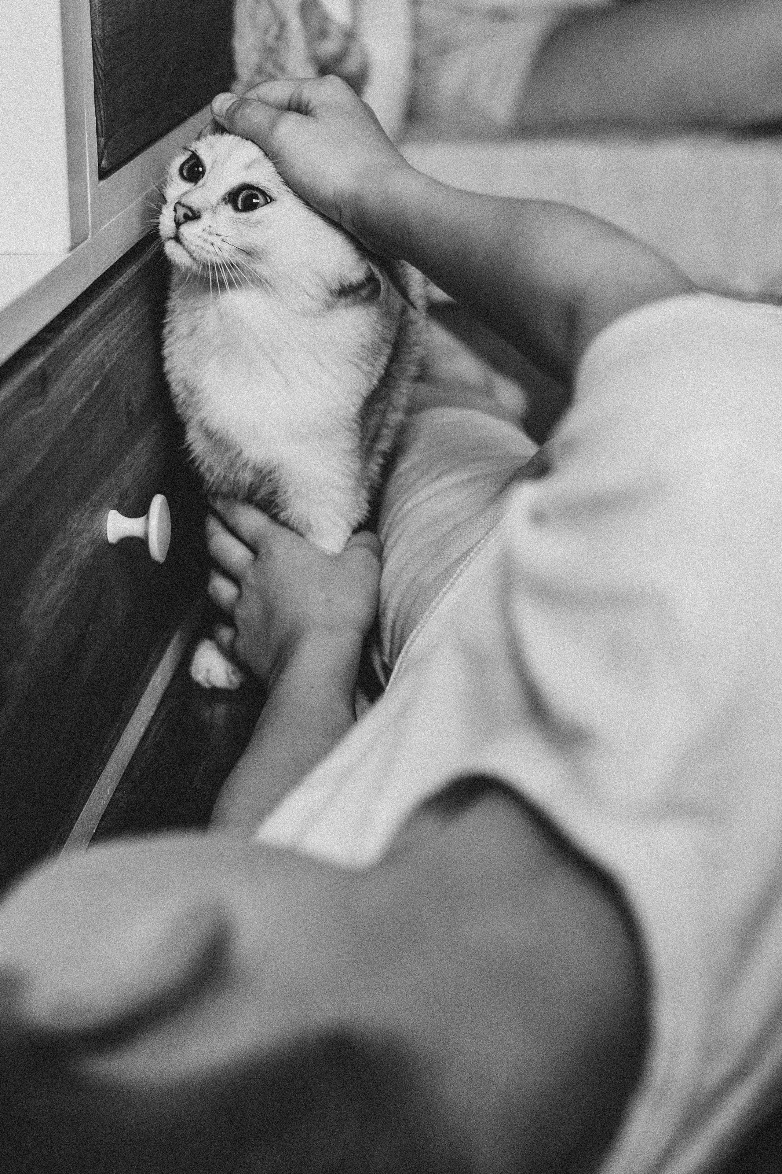 Яна и Даня. Главная