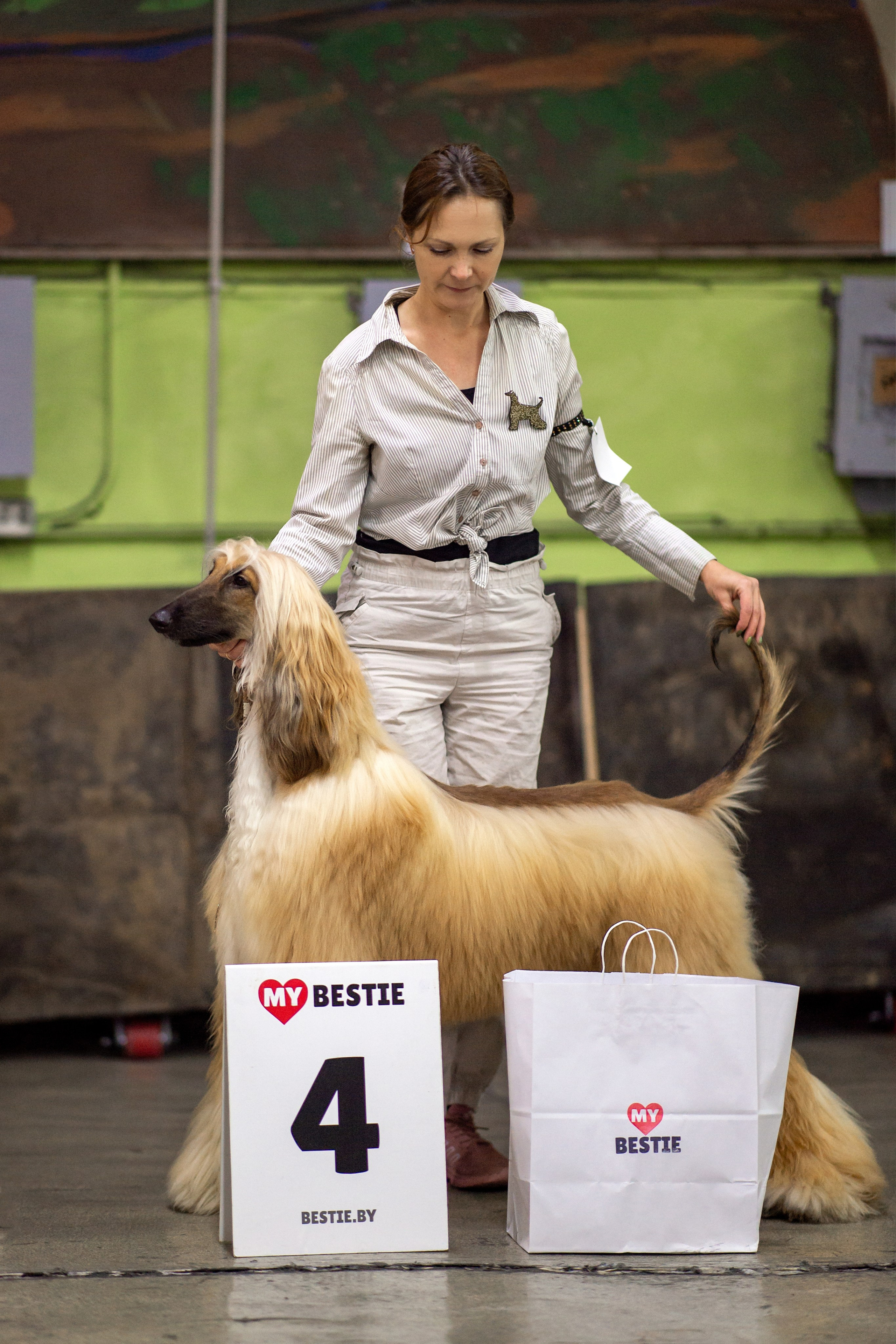 07.11.2025 Клуб Хобби Республиканская выставка собак всех пород. Галерея фотографий афганской борзой